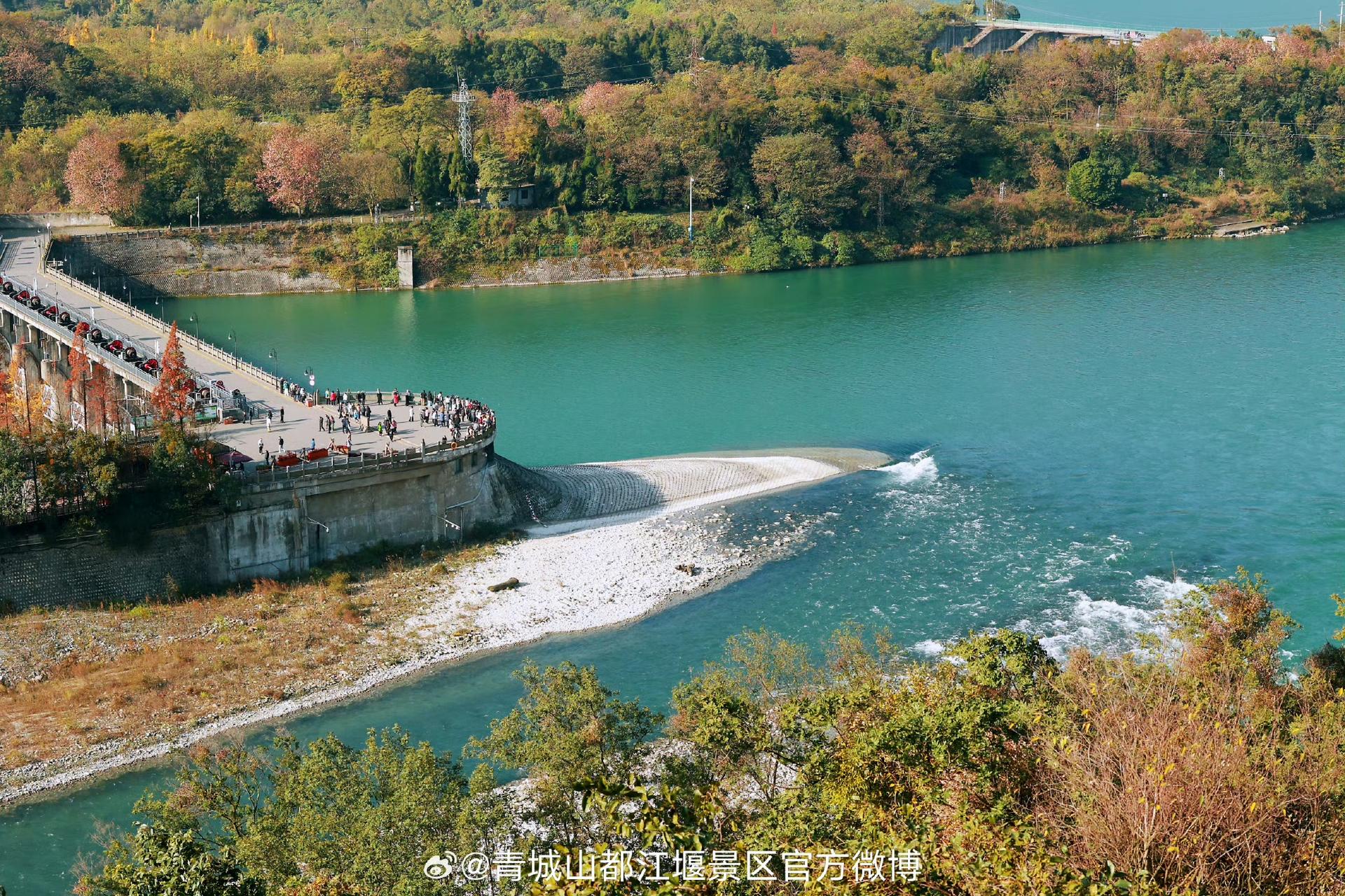 Panda Base & Dujiangyan Full-Day Guided Tour - Thumbnail 11