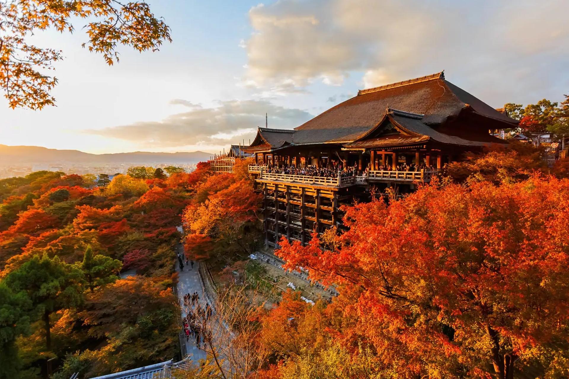 Kyoto Private One Day Tour with Hotel Pick-up from Osaka/Kyoto/Kobe - Thumbnail 7