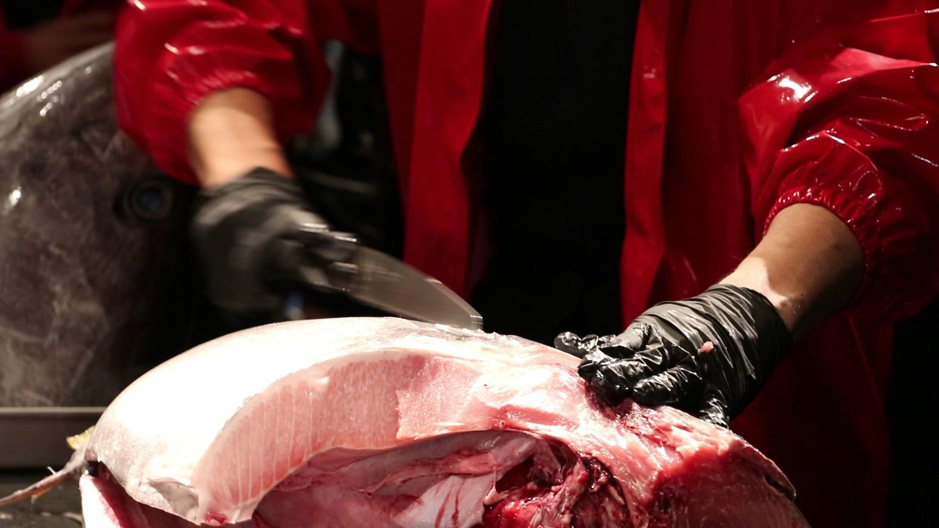 Tokyo: Tuna Cutting Show with Unlimited Sushi & Drinks - Thumbnail 8