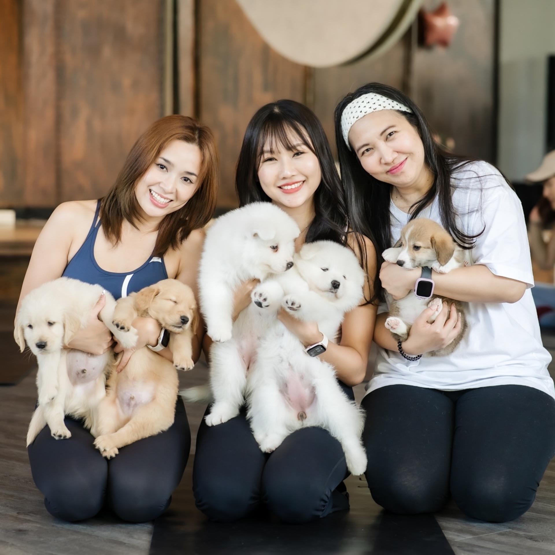 Puppy & Kitten Yoga Therapy with Photo Experience in Bangkok - Thumbnail 26