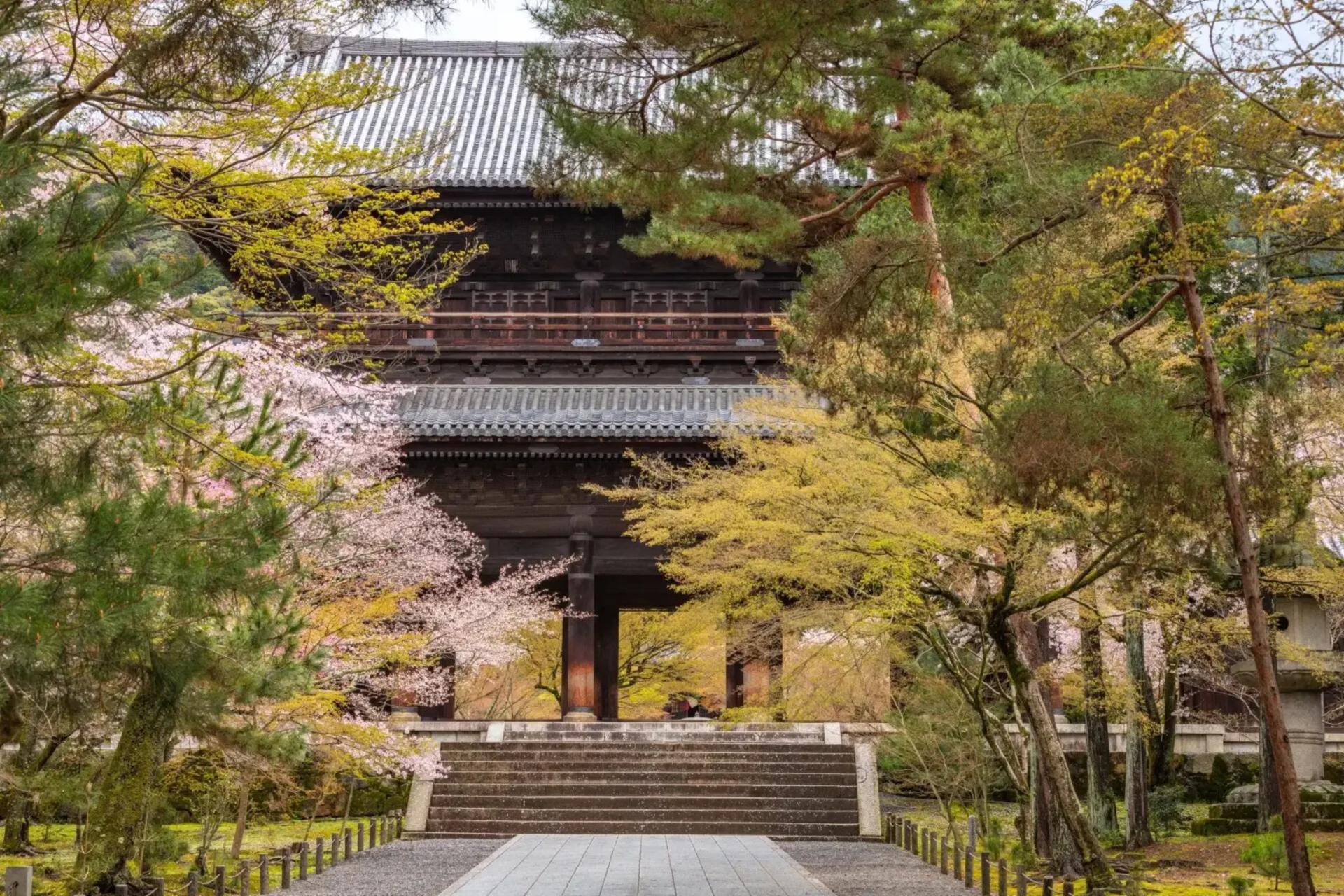 Bamboo Artistry & Zen Serenity Tranquility with Ginkaku-ji in Kyoto - Image 1