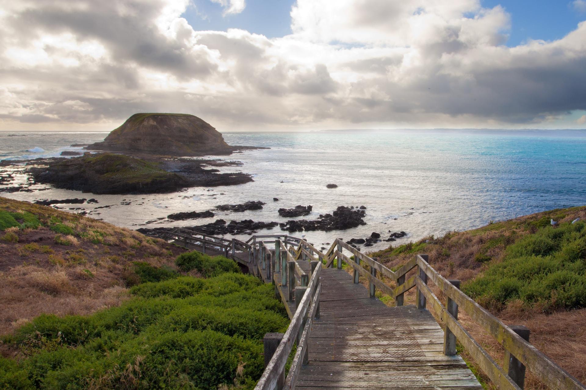 Puffing Billy and Phillip Island Wildlife Day Tour - Thumbnail 4
