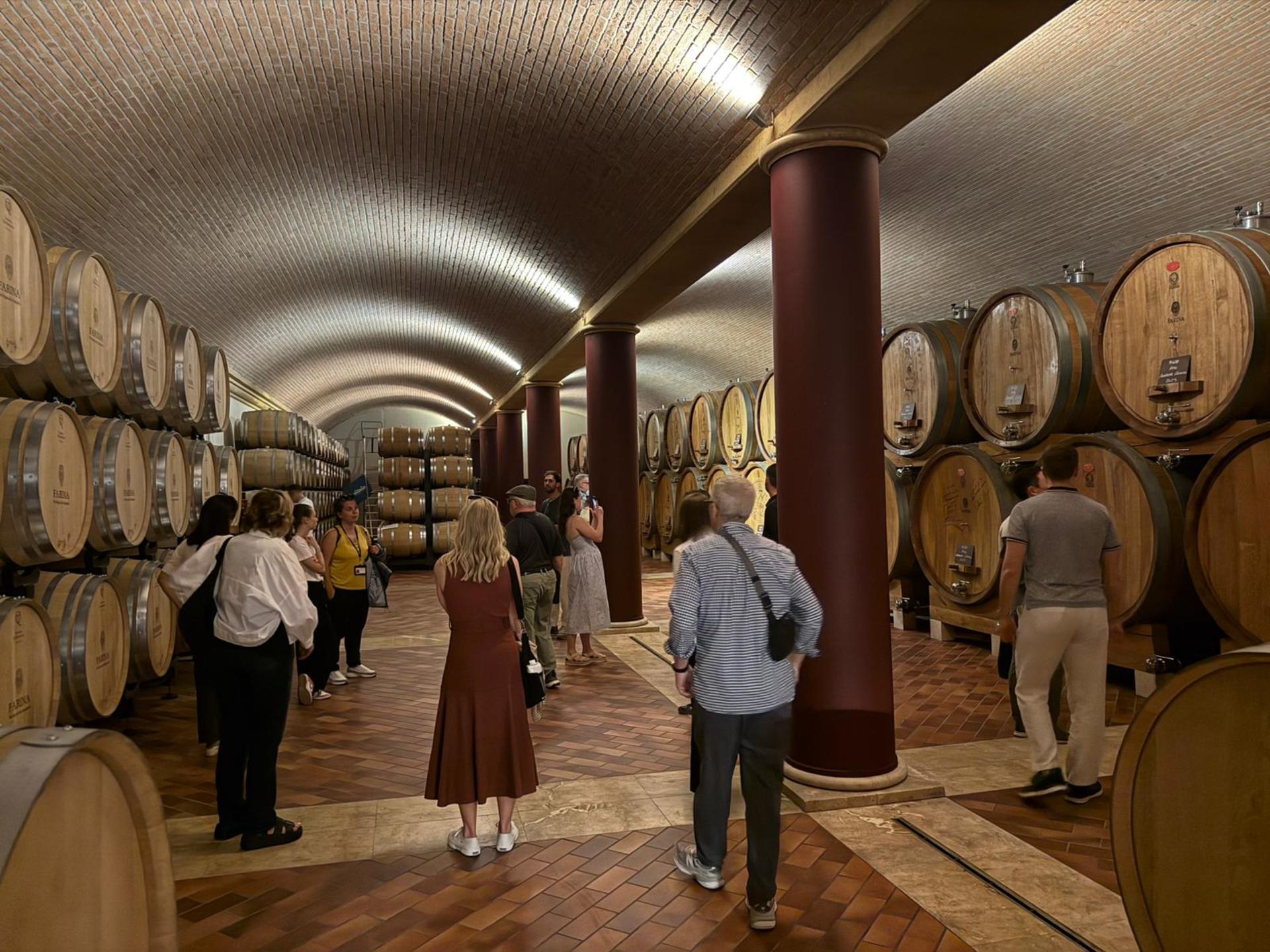 From Verona: Half-Day Valpolicella & Amarone Wine Experience - Thumbnail 11