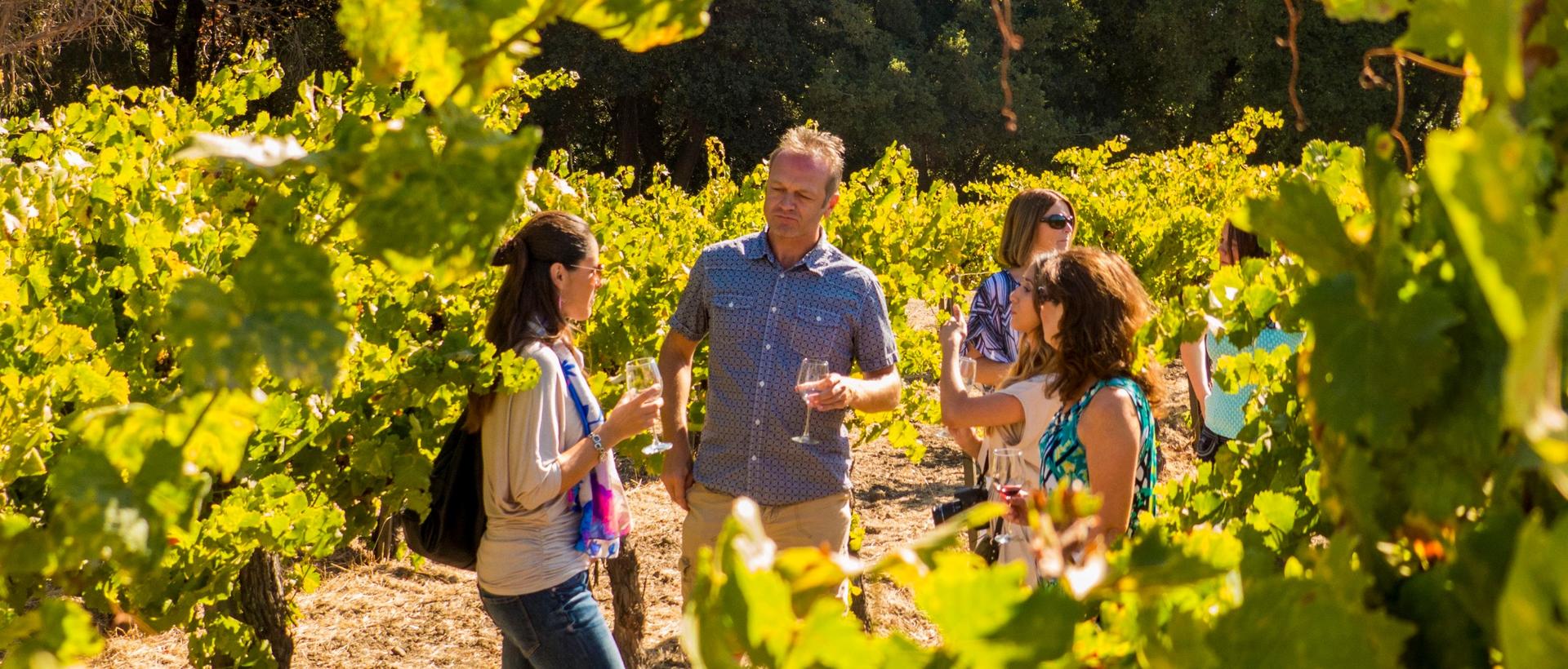 Sonoma Valley Half Day Wine Country Tour from San Francisco - Image 1
