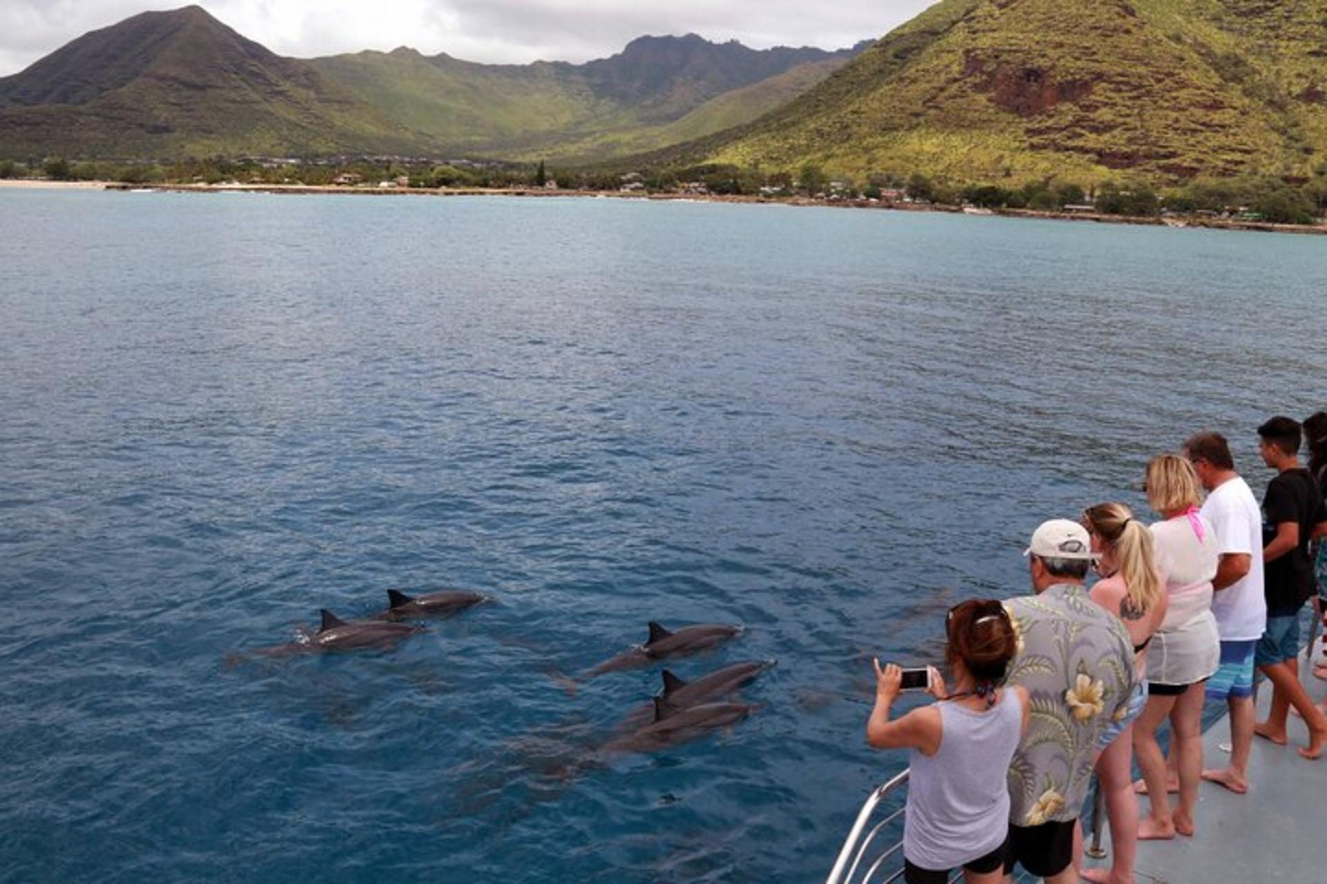 Luxury Sunset Snorkel Cruise with Dolphin Watch in Ko Olina - Thumbnail 14