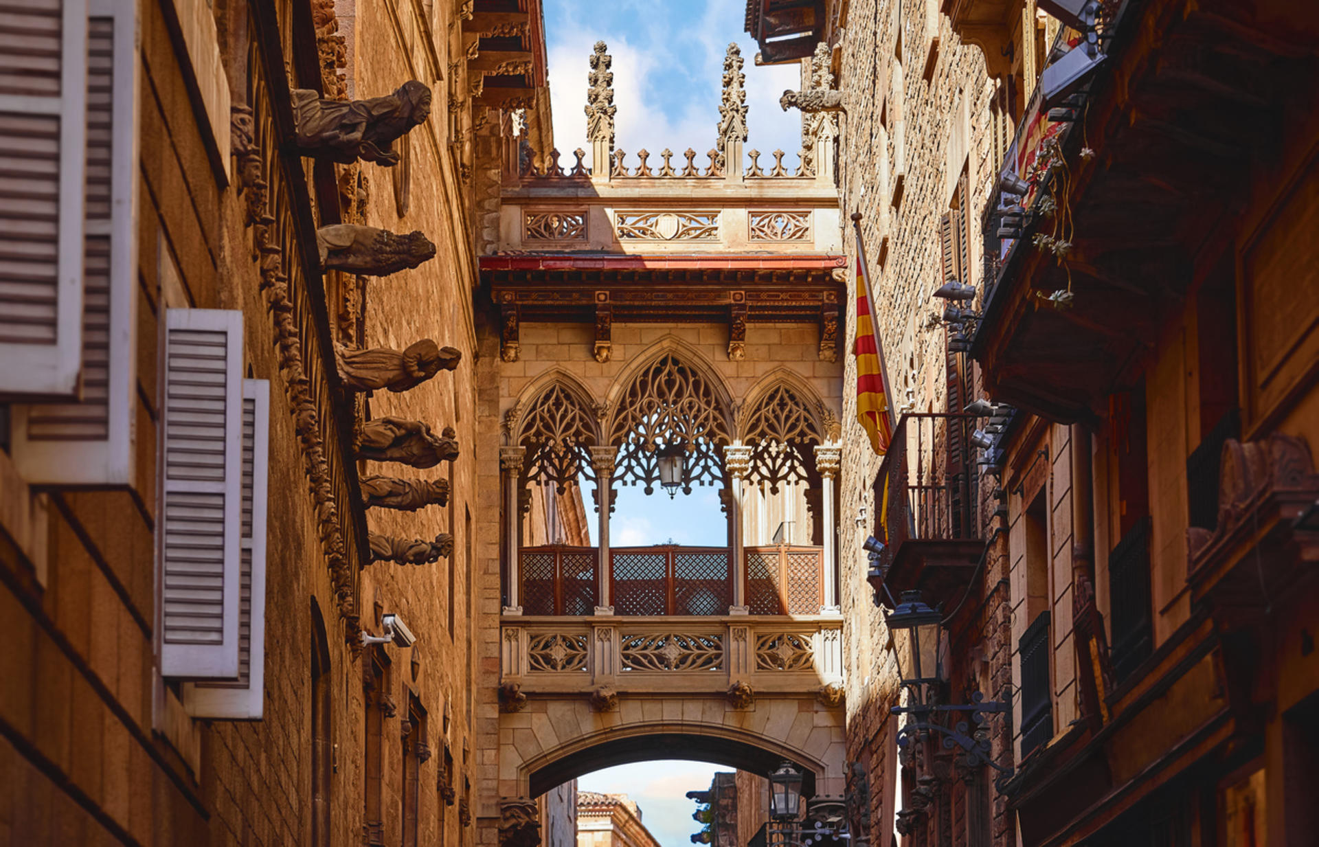 Barcelona city and Sagrada Familia Half-Day Tour with Hotel Pick-Up - Thumbnail 11