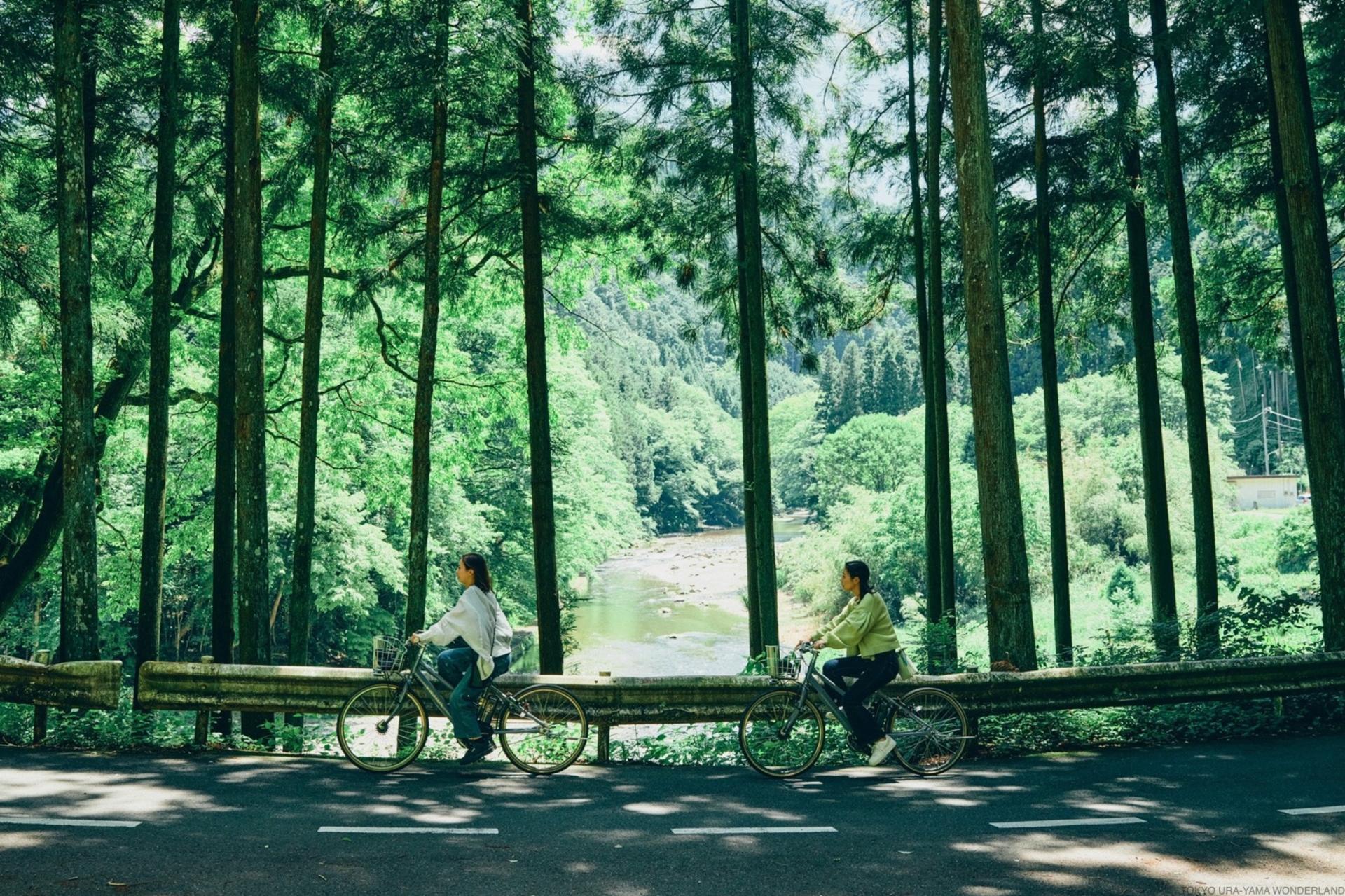 Akiruno Electric Bike & Nature Half-Day Tour - Thumbnail 18