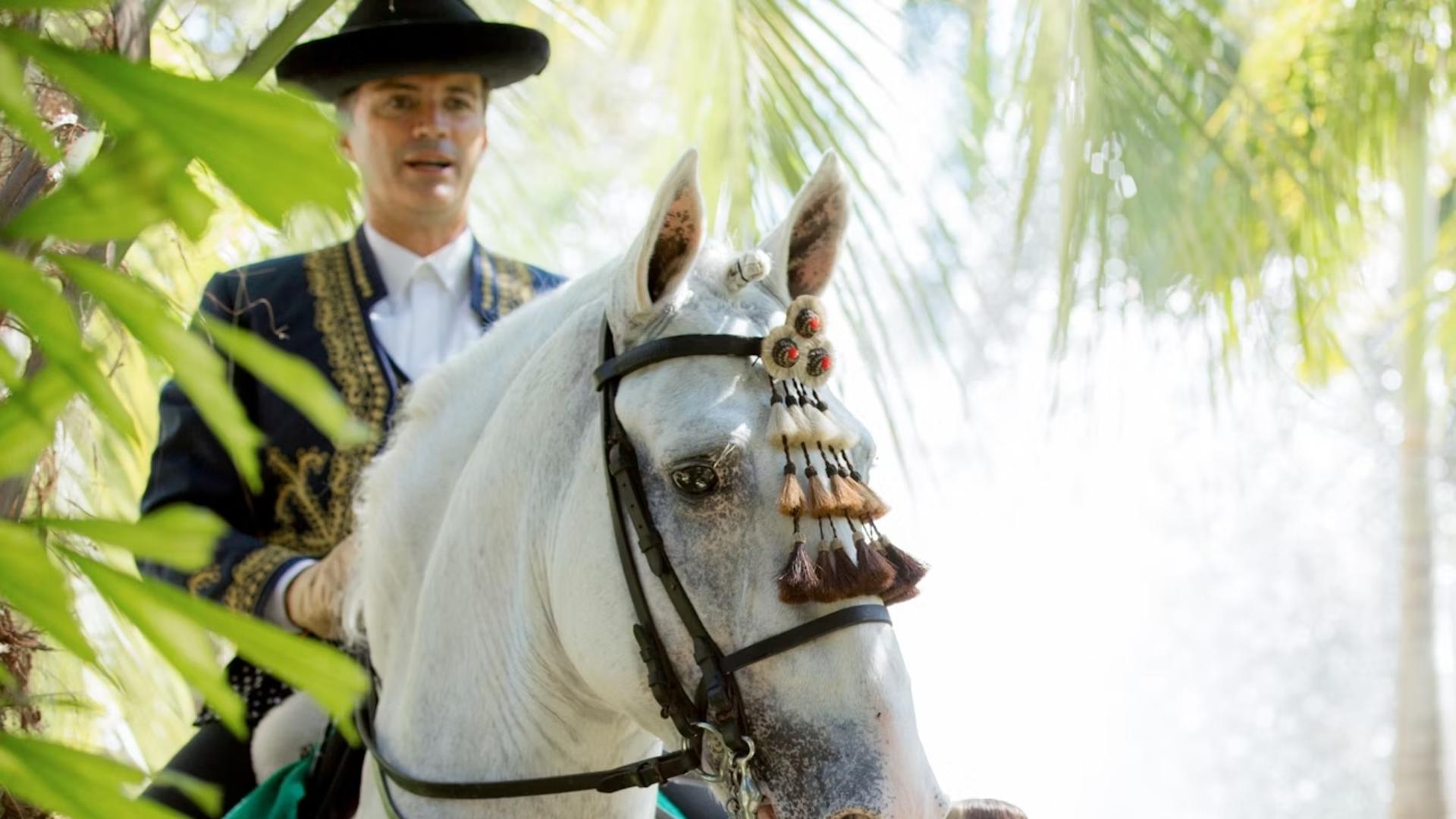 Andalusian horse and Flamenco show in Torremolinos - Thumbnail 2