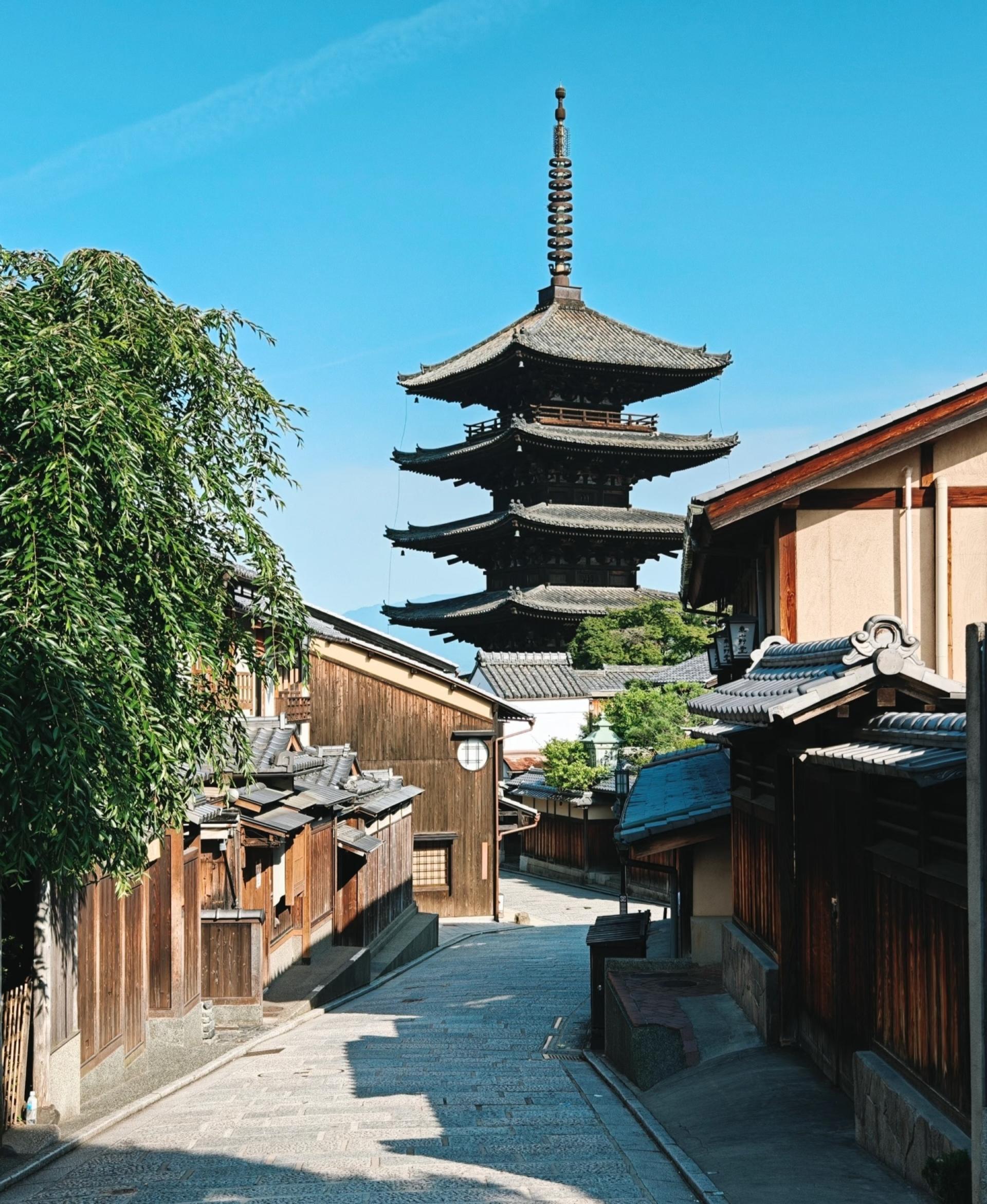 Kyoto one-day private tour (1~4 people) - Thumbnail 8