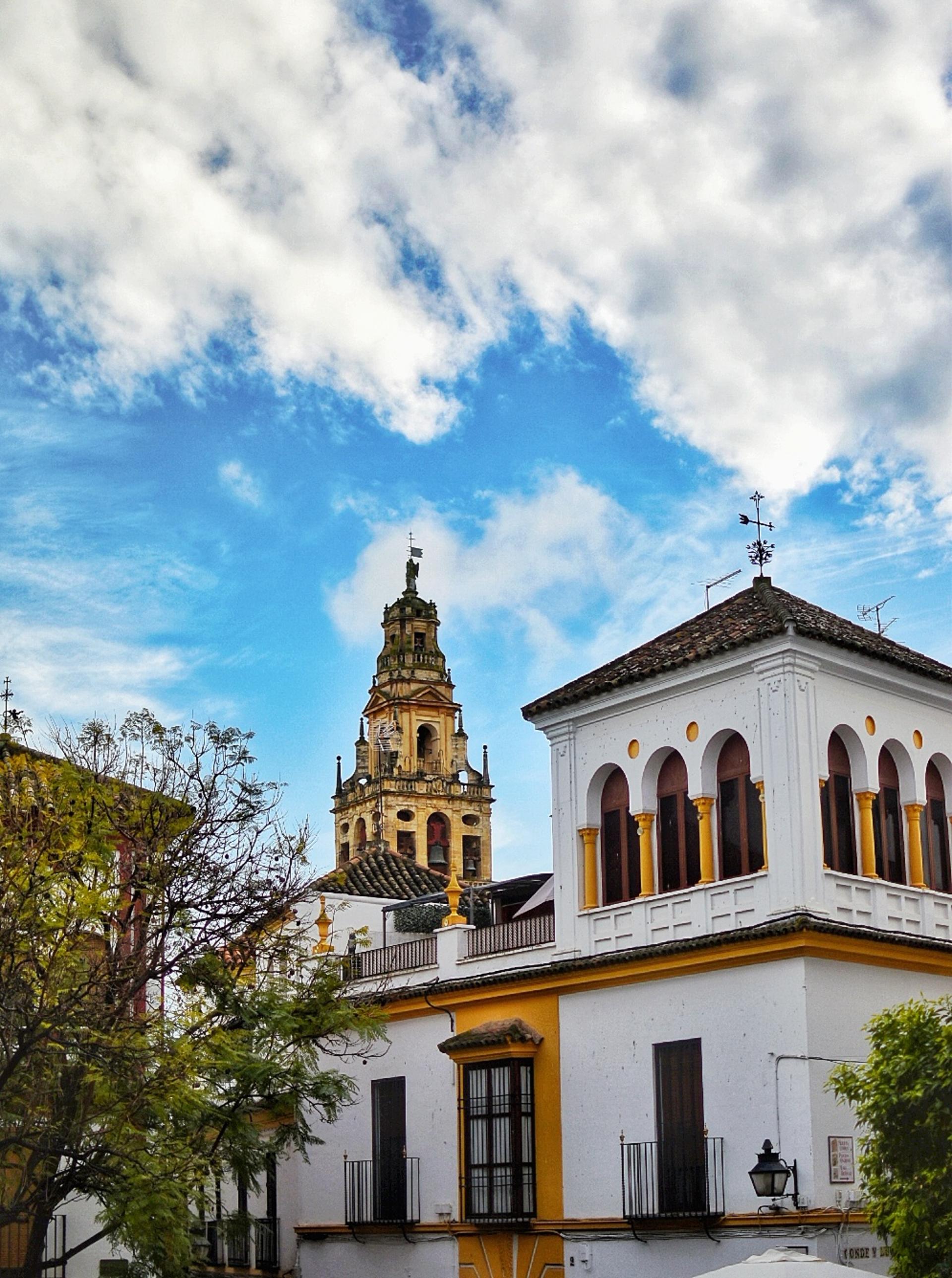 Seville to Cordoba Private Full-Day Tour - Thumbnail 5