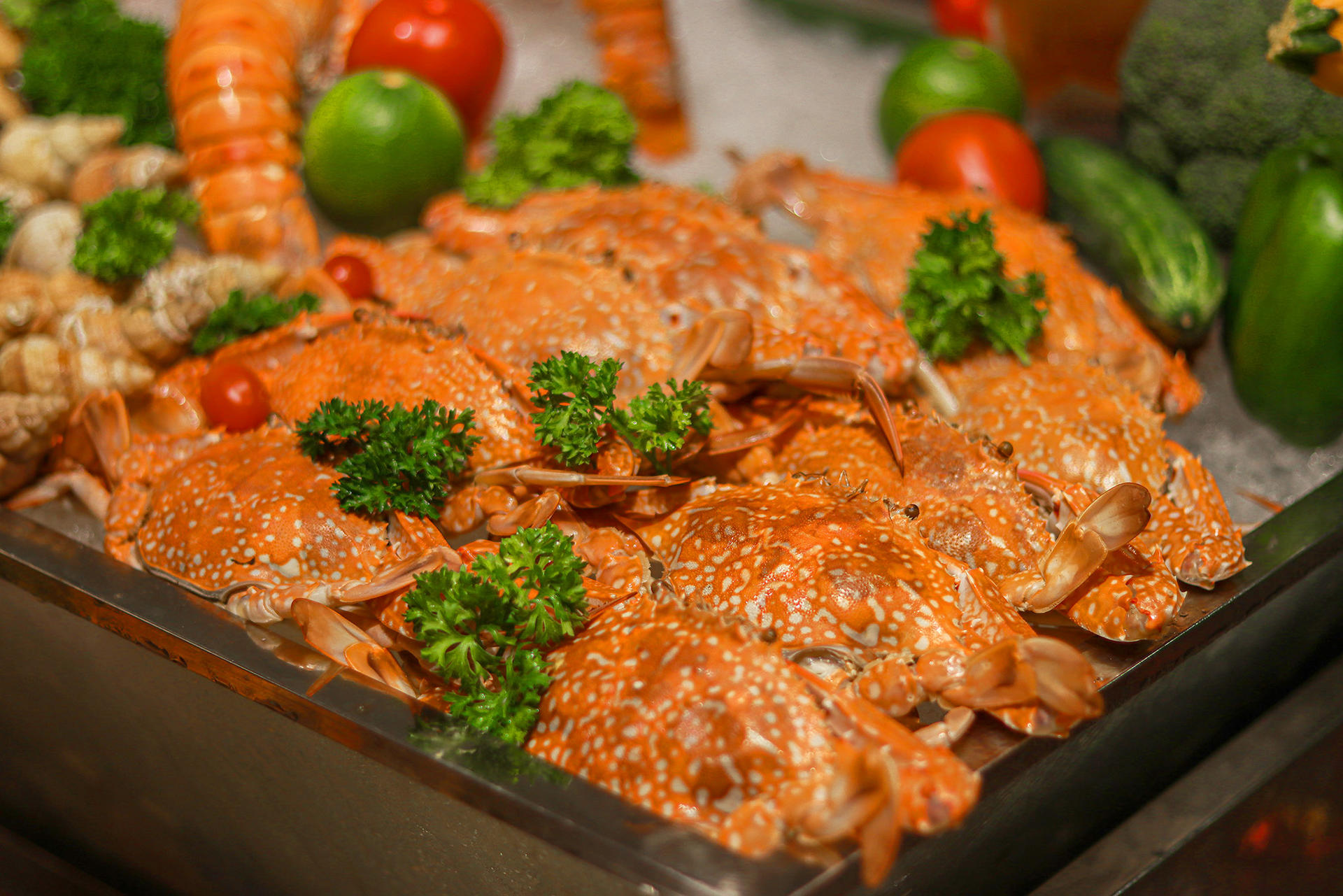Seafood Sunday Brunch At Novotel Saigon Centre - Food Exchange - Thumbnail 33