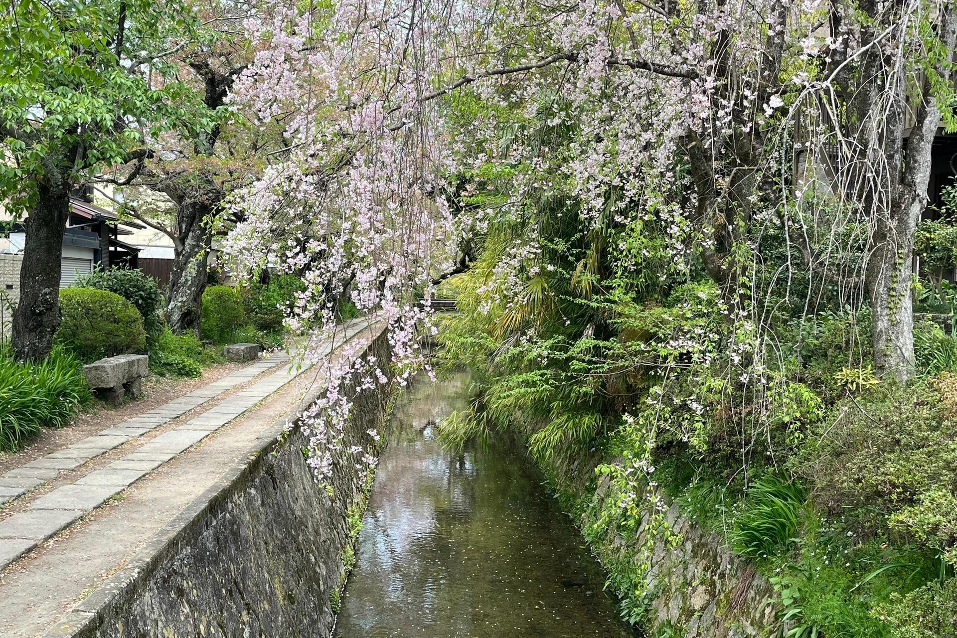 Half-Day Private Guided Tour to the Silver Pavilion in Kyoto - Thumbnail 5