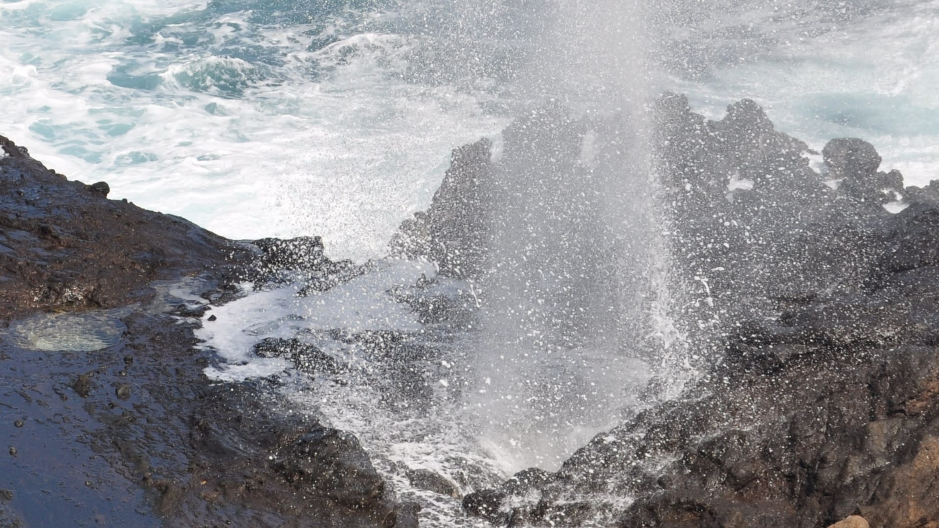 Oahu Circle Island Full Day Guided Tour - Thumbnail 6