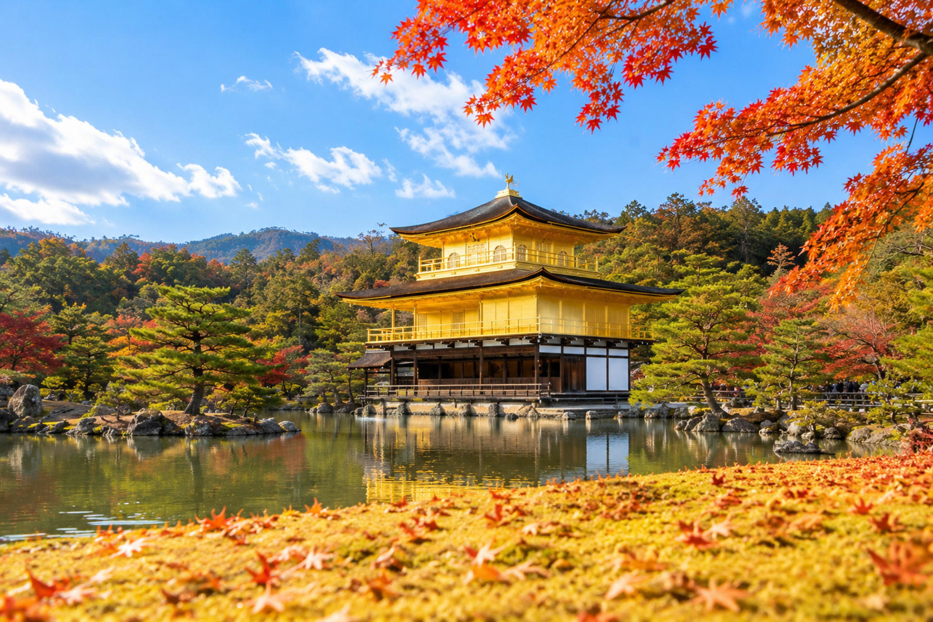 Kyoto and Nara Day Tour(Optional upgrade to Wagyu “Kobe Beef” lunch) - Thumbnail 7