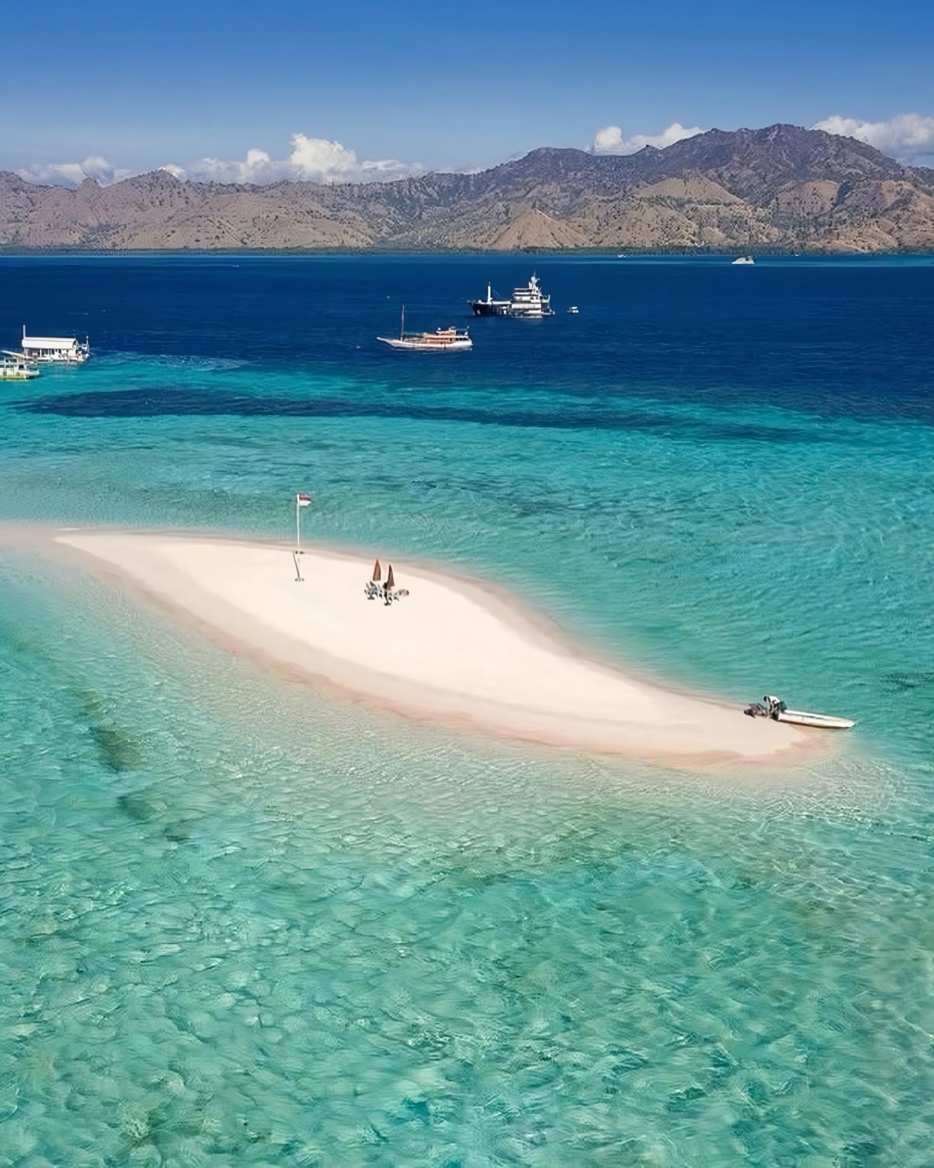 Full Day Komodo Speedboat Tour from Labuan Bajo by MK Express - Thumbnail 12