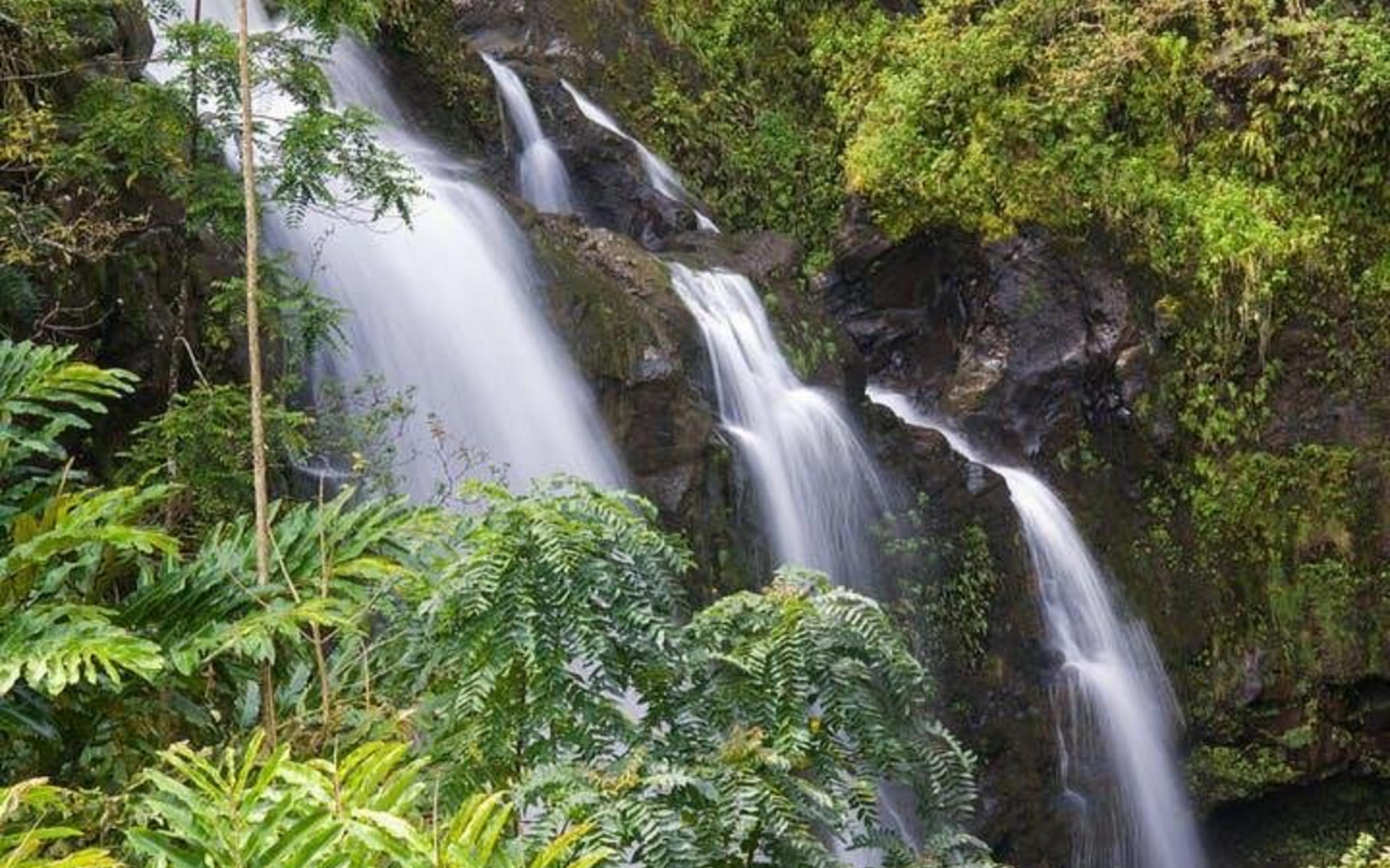 Heavenly Hana Tour - Thumbnail 4