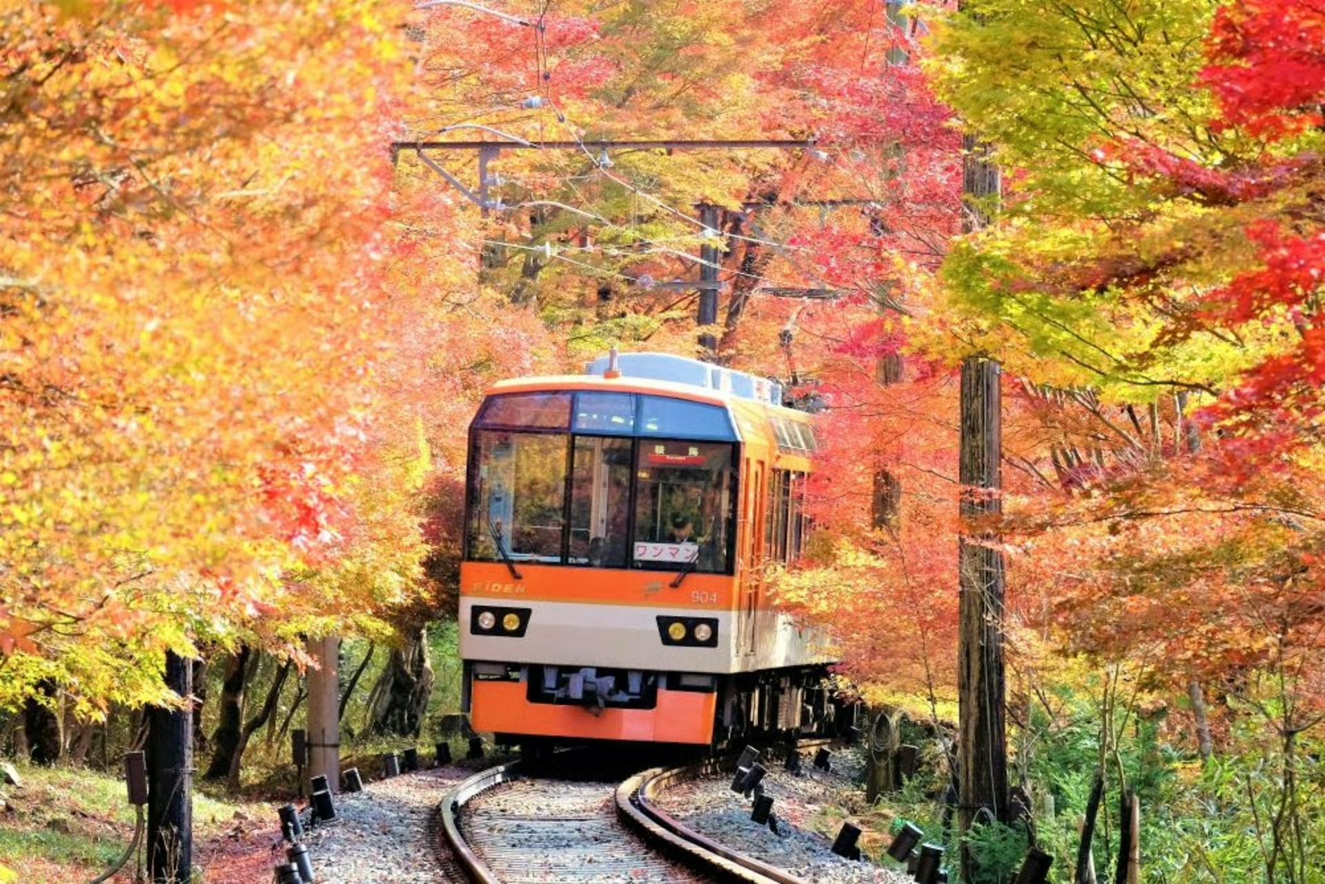 Eizan Electric Railway 1-Day Pass “Ee Kippu” & Kurama Onsen Set Ticket - Thumbnail 6