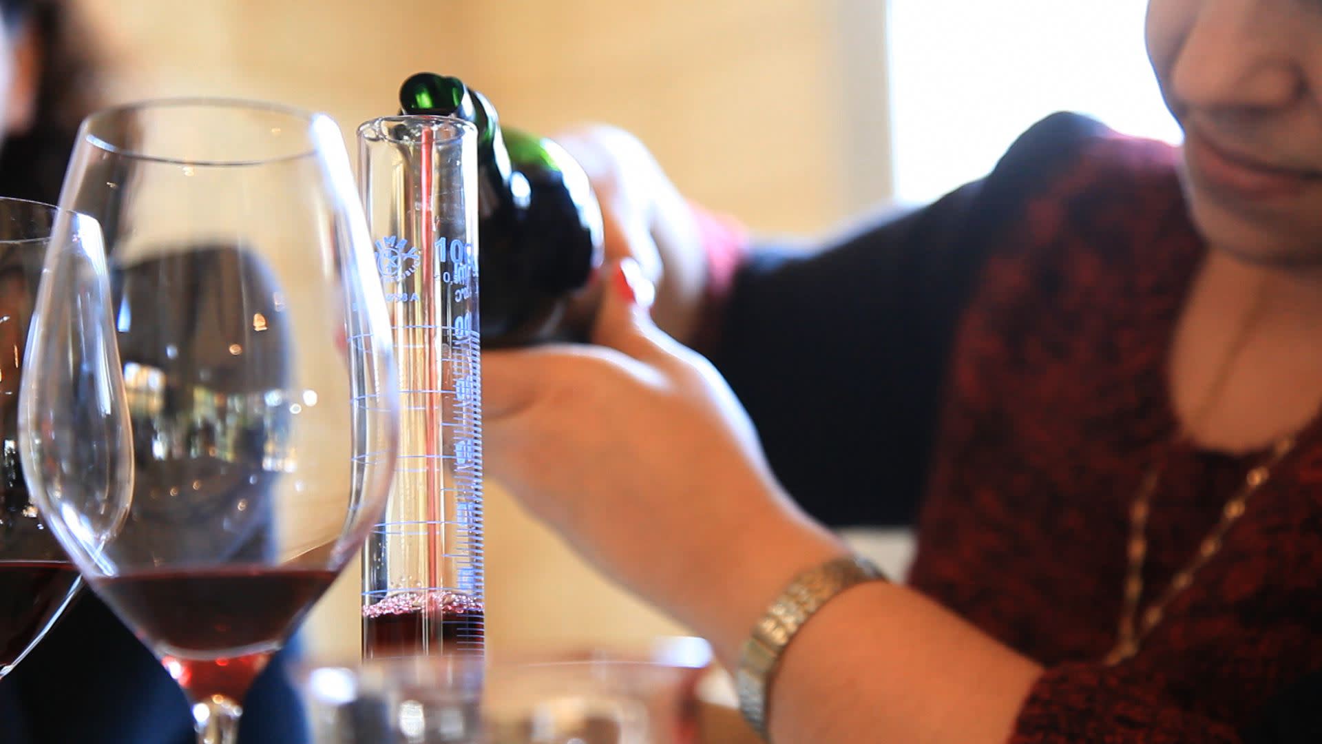 Bordeaux and Saint-Emilion Wine Discovery, Wine Tasting Class, and Tour - Thumbnail 2