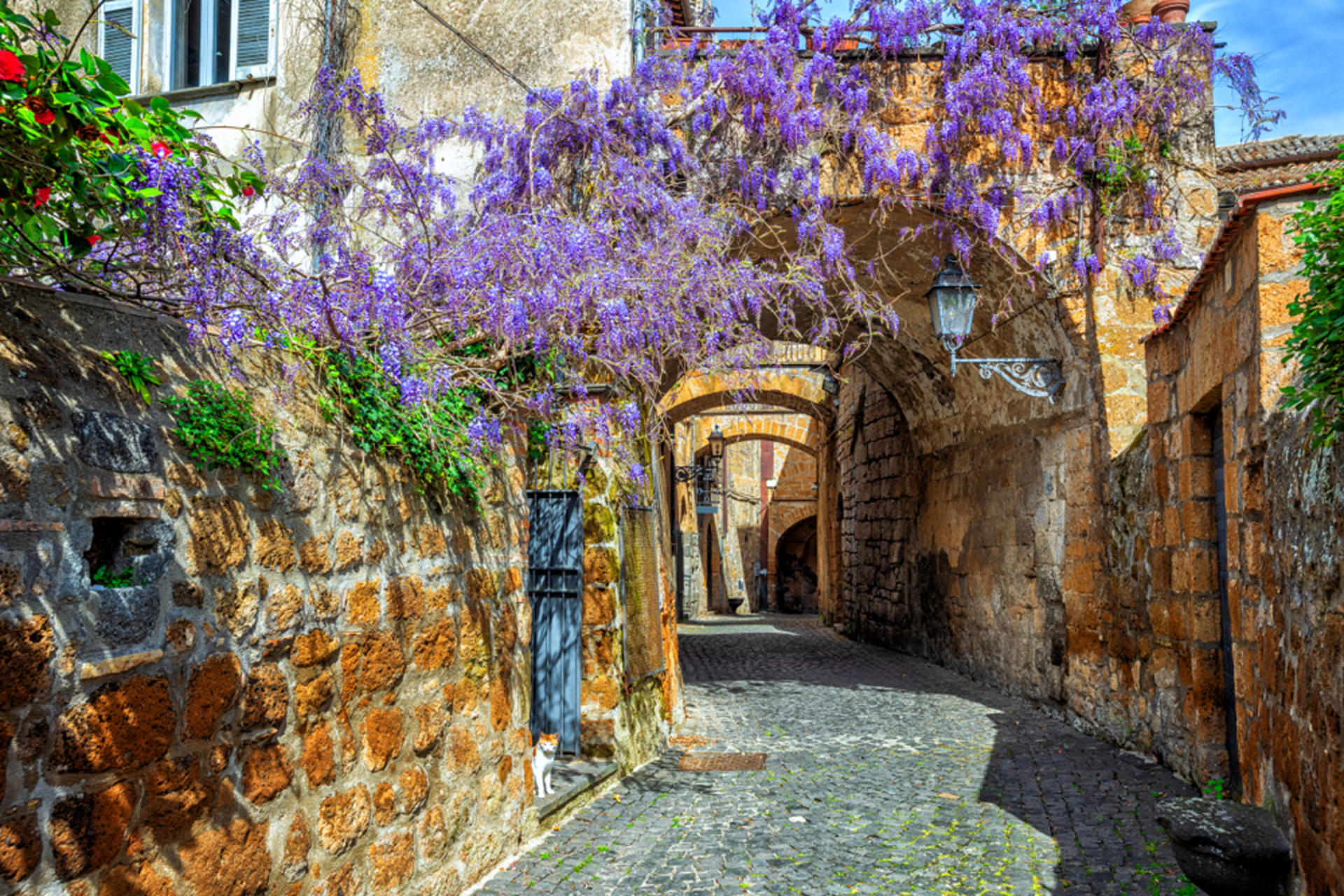 Perugia and Assisi Tour from Florence - Thumbnail 14