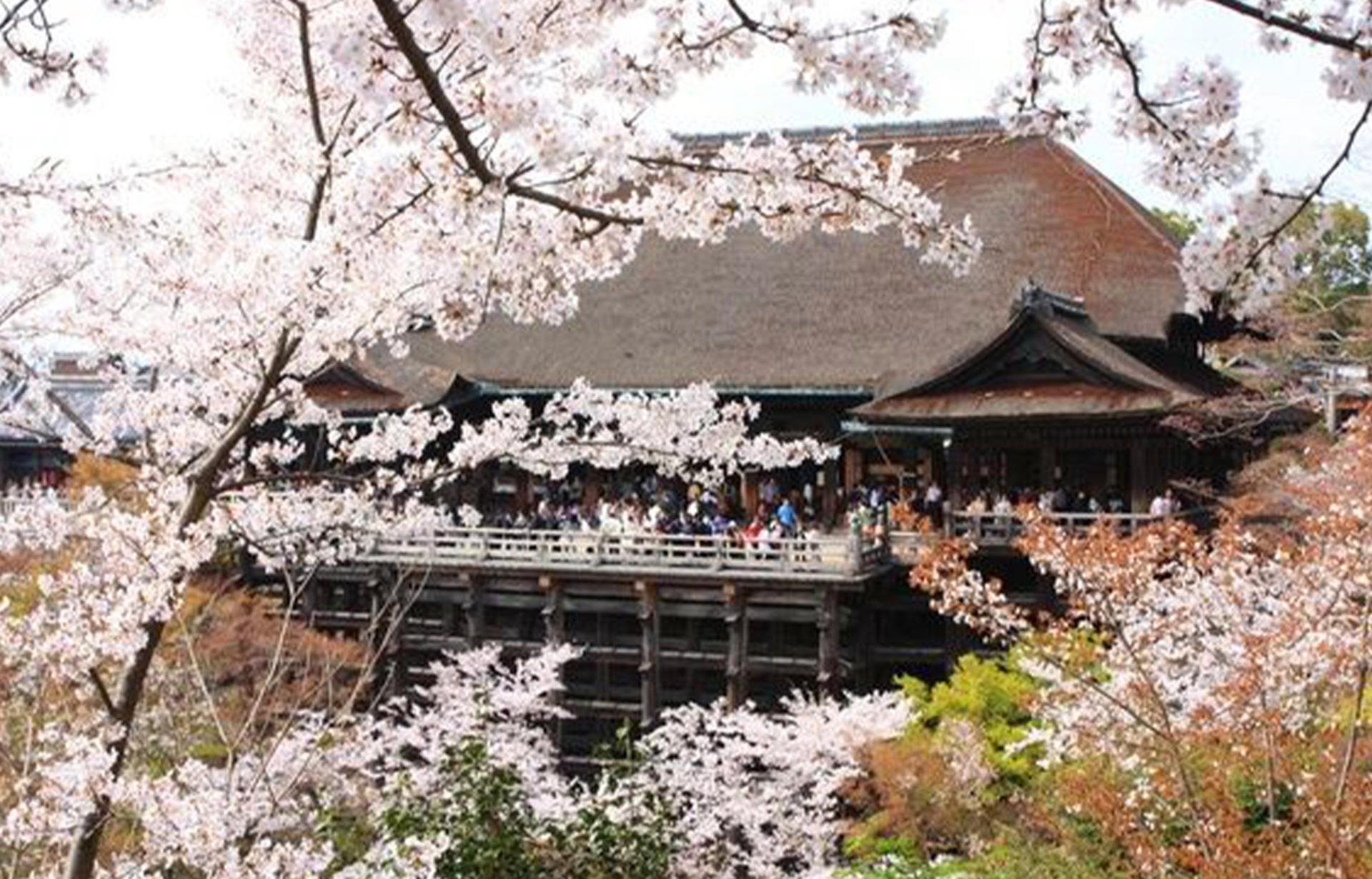 Kyoto Nara Day Trip │ Kiyomizu-dera Temple + Fushimi Inari-taisha Shrine + Nara Park (Departing from Osaka/Kyoto) - Thumbnail 23