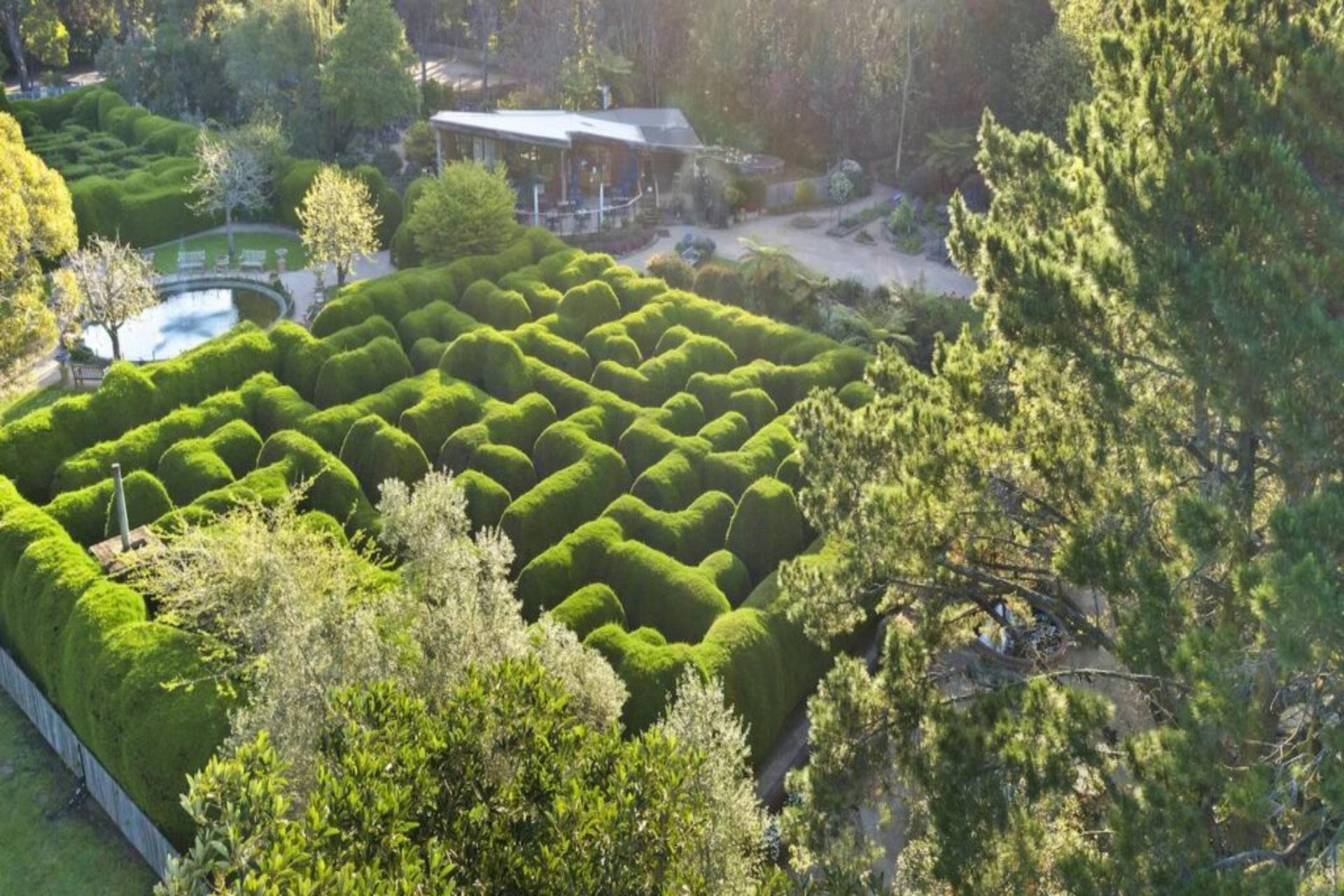 Ashcombe Maze and Lavender Gardens ticket - Thumbnail 5
