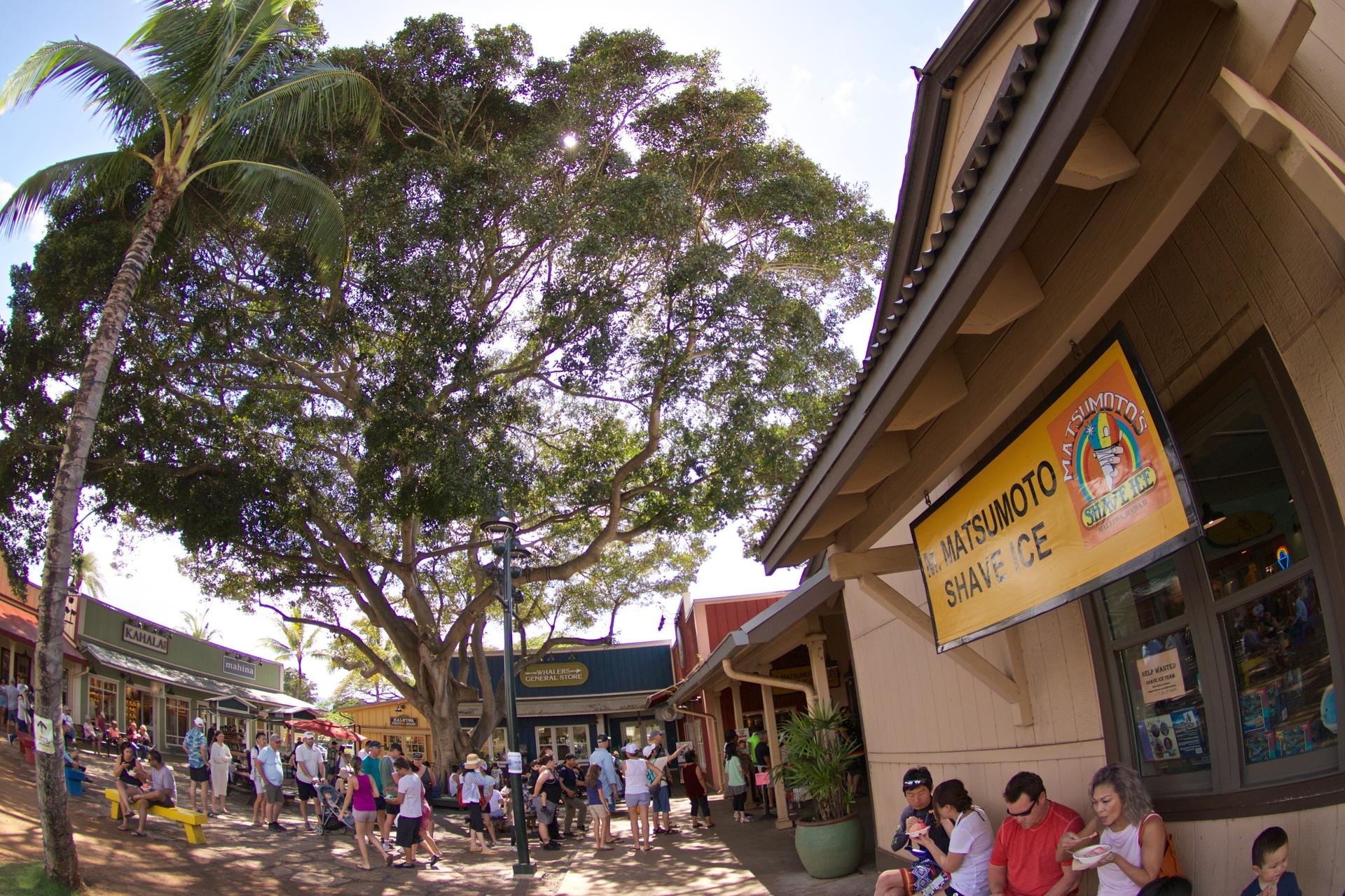 Oahu Circle Island Tour with Malasadas and Garlic Shrimp - Thumbnail 15