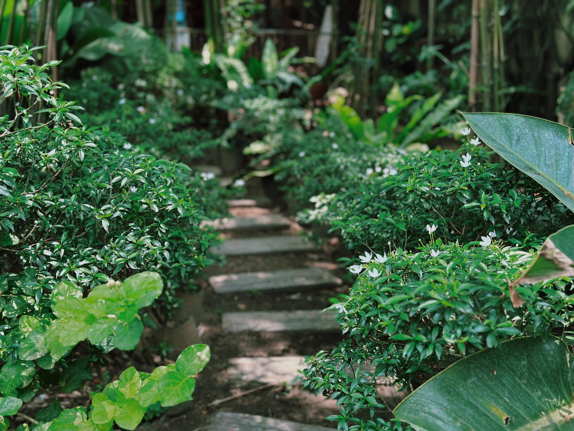Private Farm Tour & Cooking Class in Ho Chi Minh City - Thumbnail 7