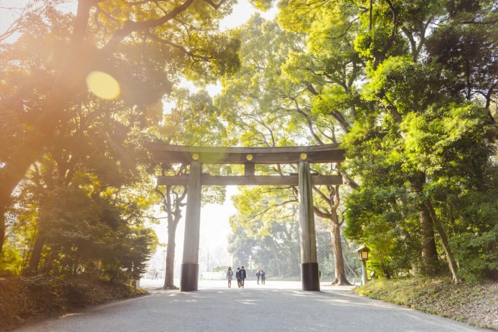 Tokyo Highlights Private Day Trip - Thumbnail 6