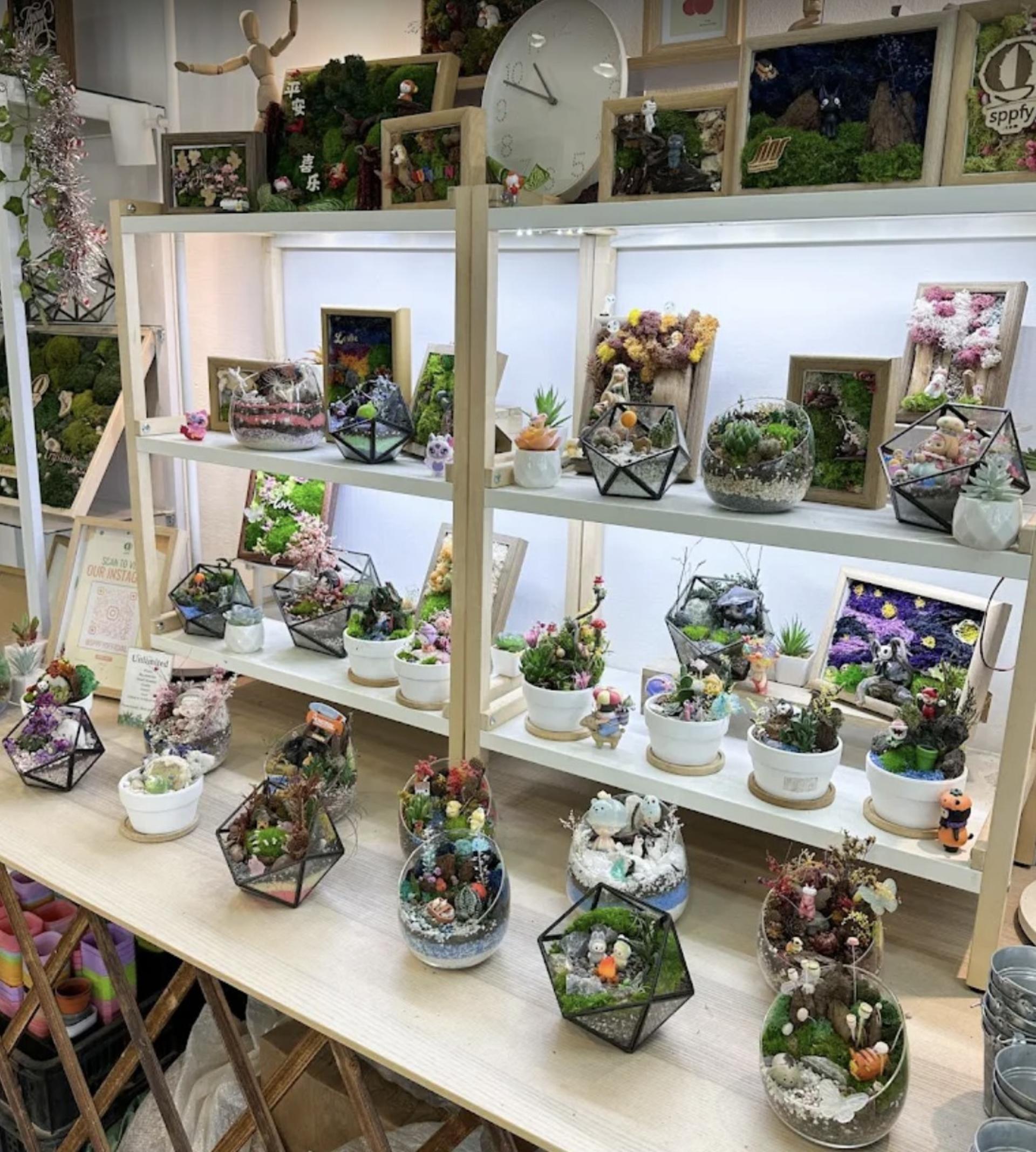 Open Terrarium and Moss Art Workshop in Singapore by SPPFY STUDIO - Thumbnail 5