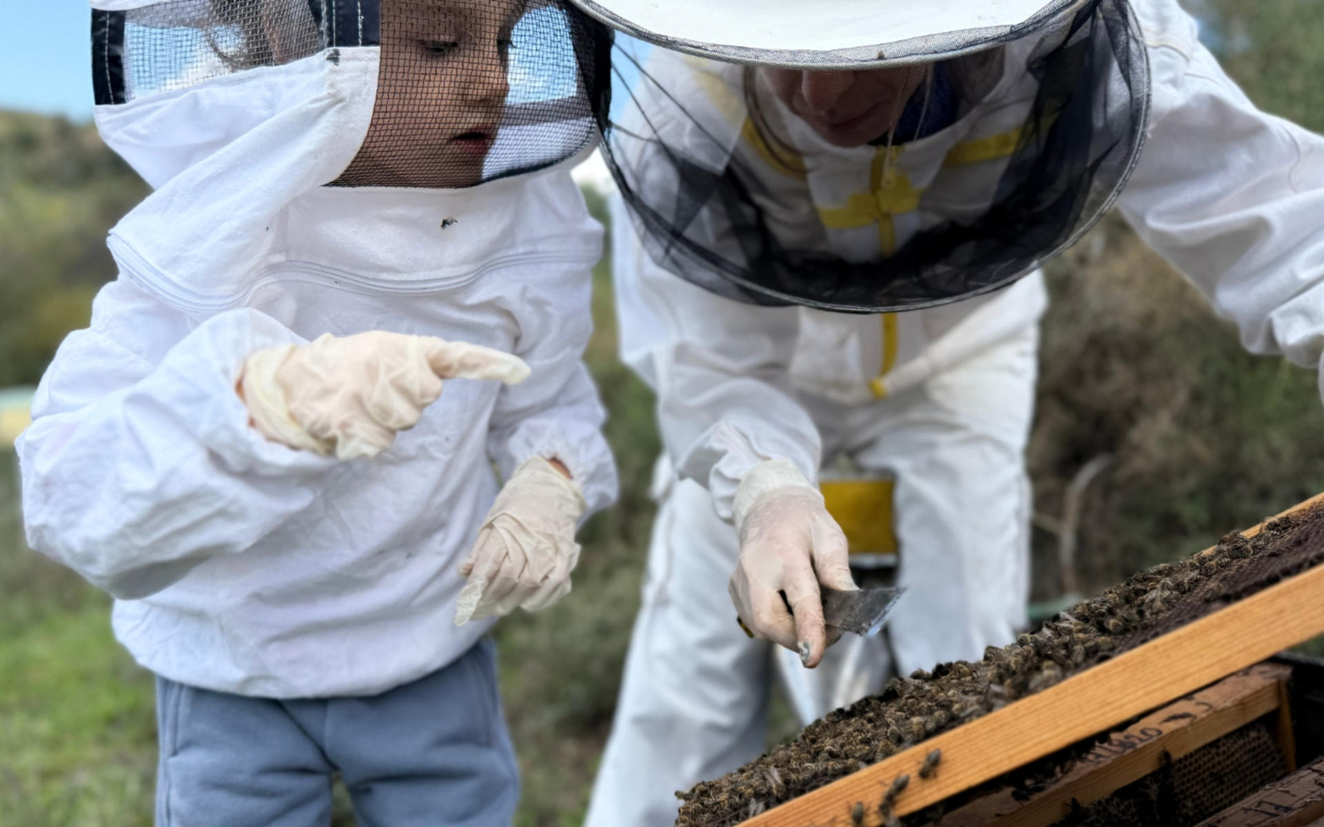 Beekeeping Experience and Honey Tasting in Kalamata - Thumbnail 8
