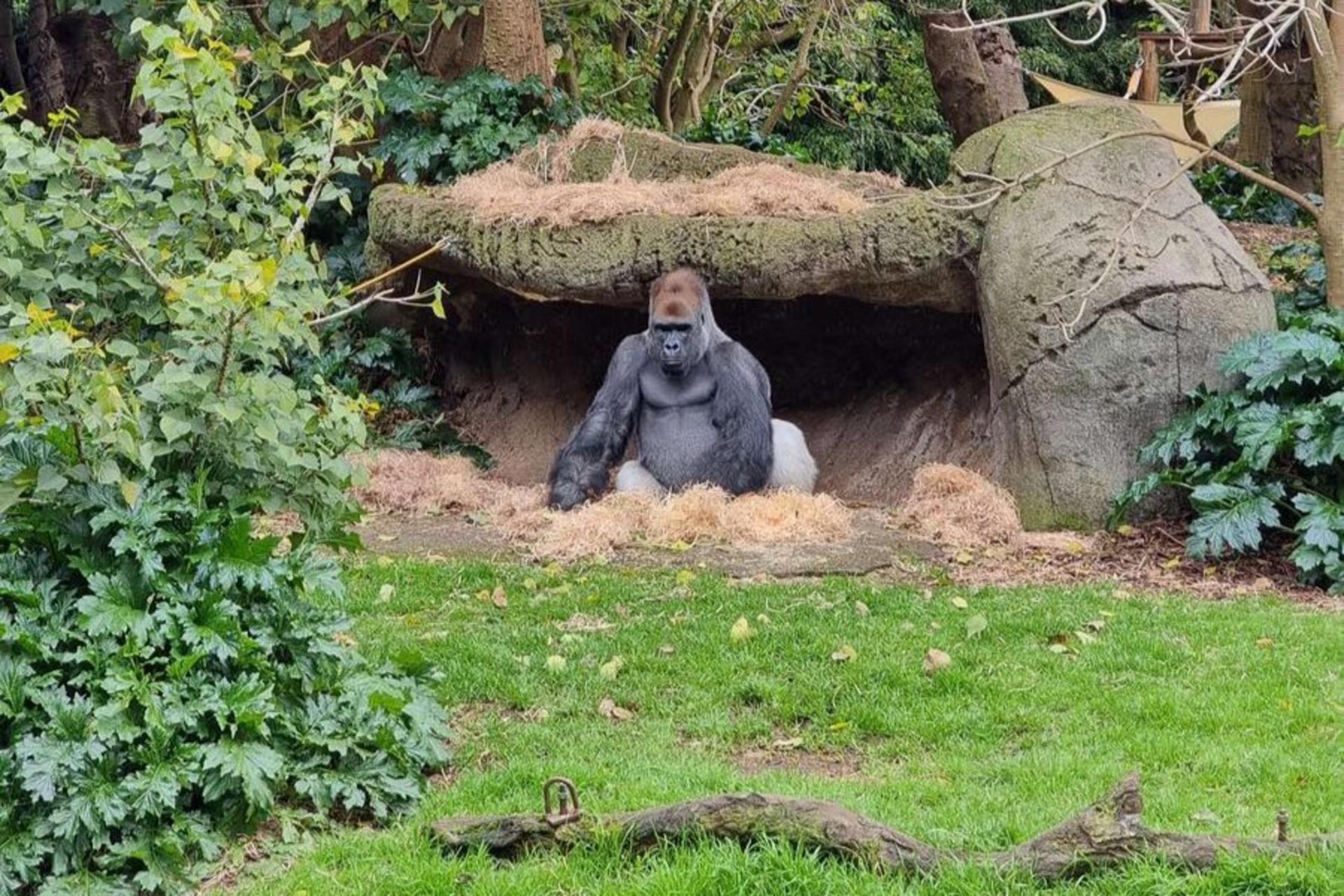 Melbourne Zoo Ticket  - Thumbnail 16