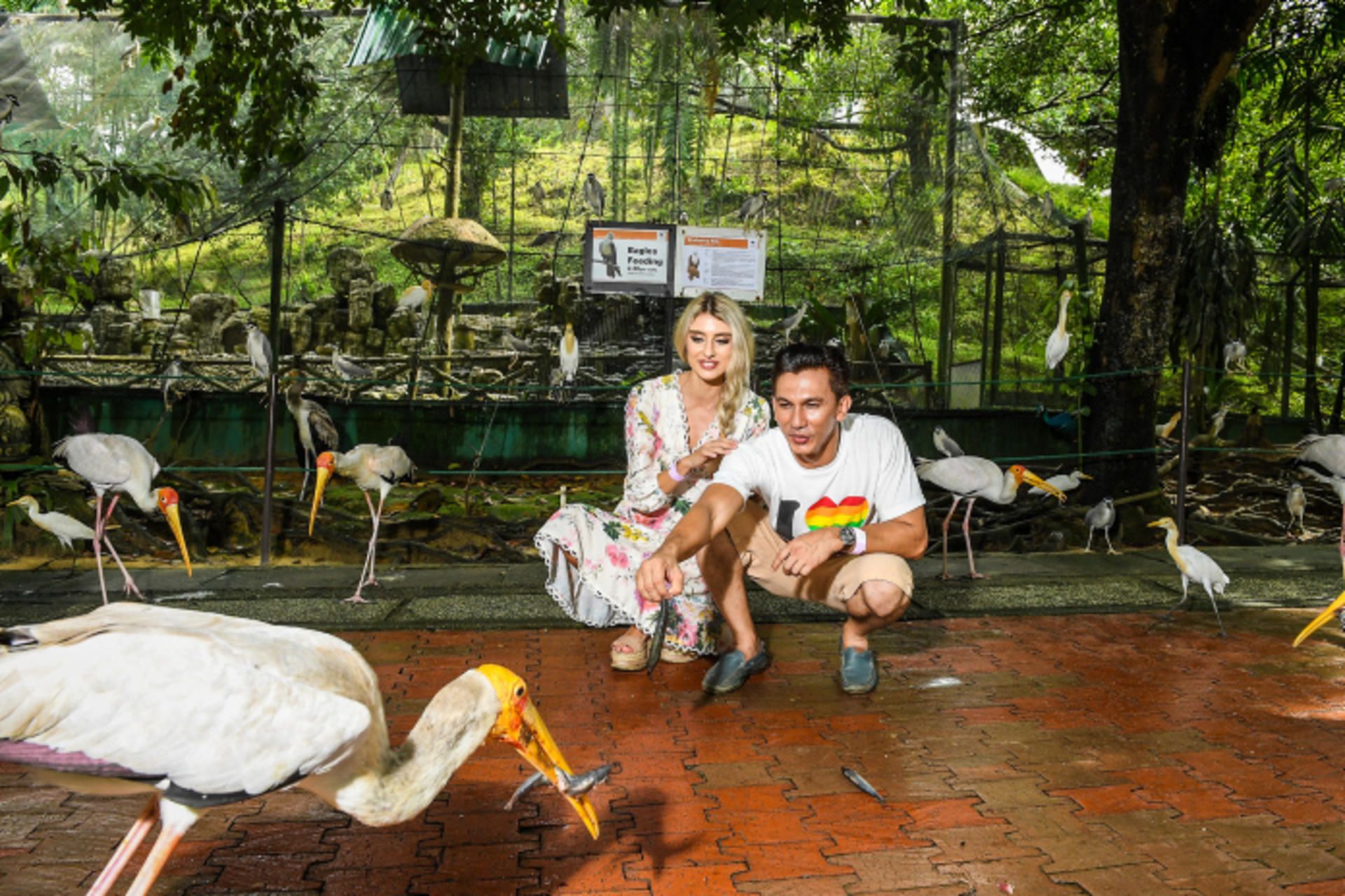 KL Bird Park, Butterfly Park and Garden Tour with Scenic Buggy Ride - Thumbnail 5