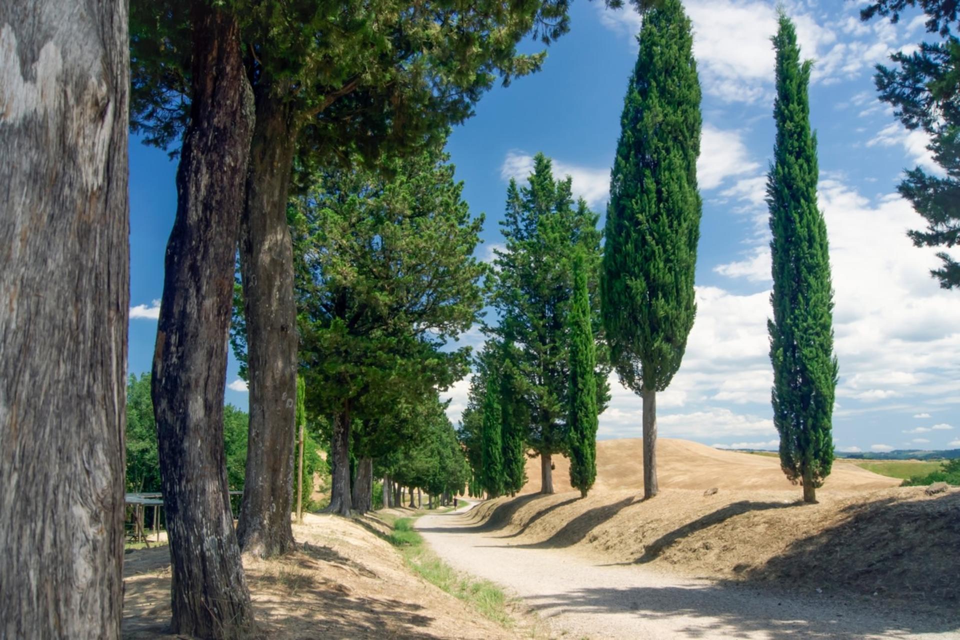 Florence Day Trip: Medieval Villages & Cooking Class - Image 1