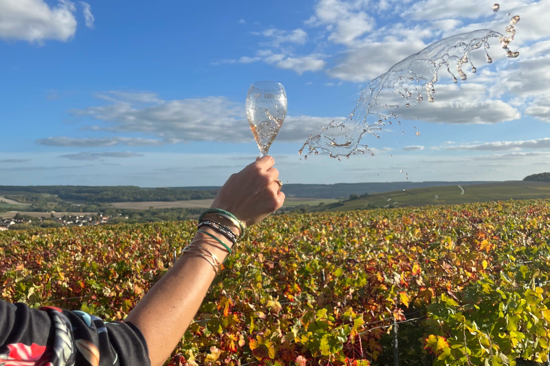 Sancerre Wine Tasting and Lunch Tour from Paris - Thumbnail 8