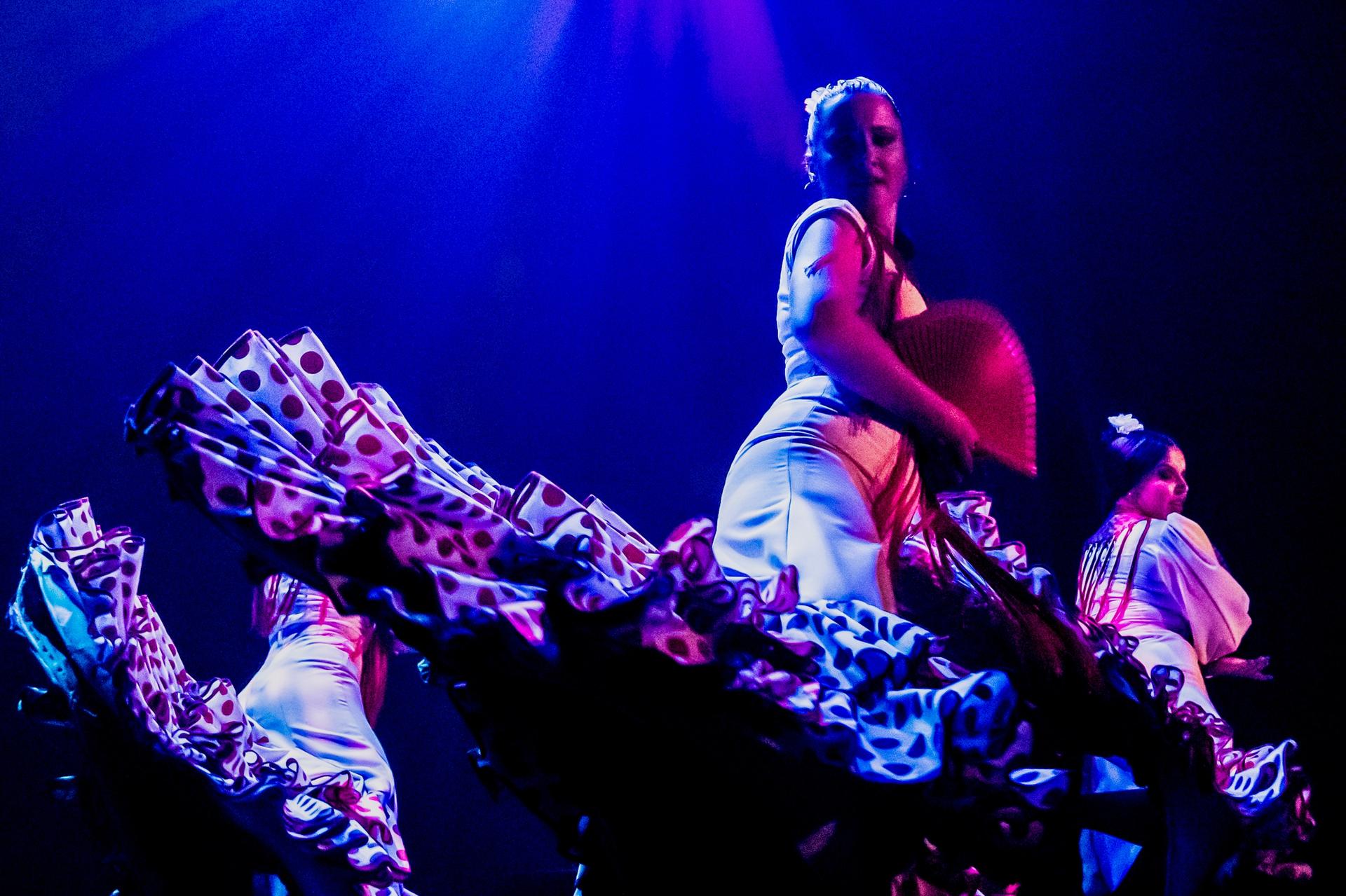 Pasion Flamenco Show in Seville - Thumbnail 6