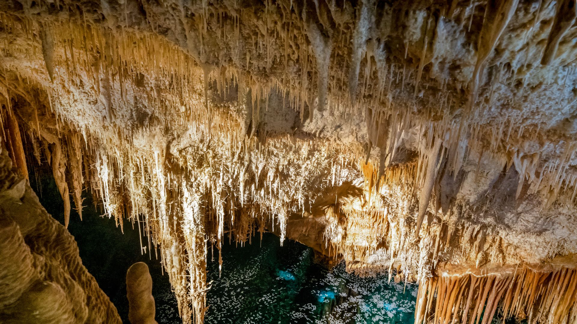 Caves of Drach tour with boat trip from Palma or Alcudia  - Thumbnail 6