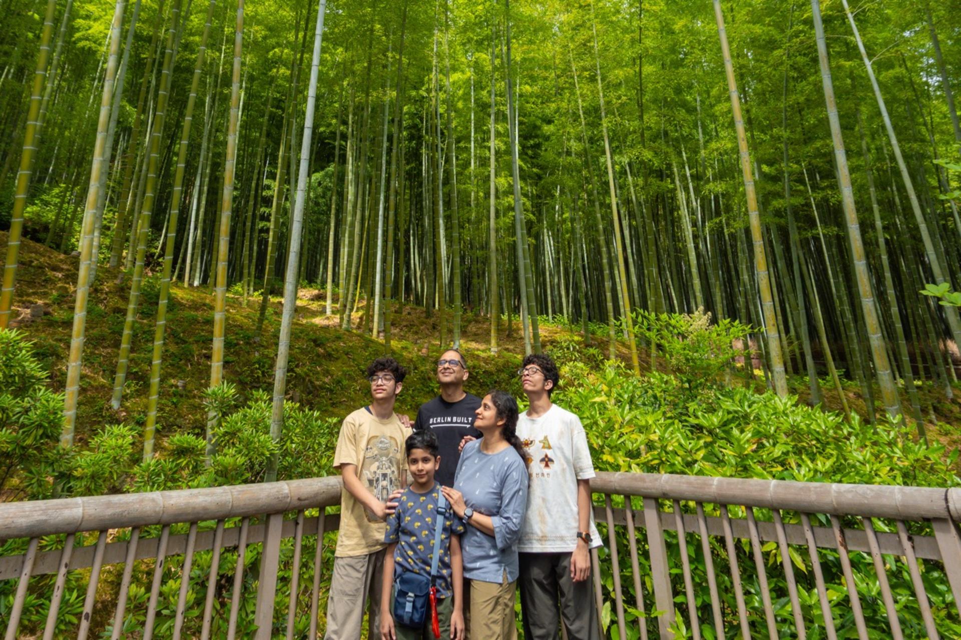 Kyoto: Arashiyama Unveiled – Bamboo, Temple, Matcha, Monkeys - Thumbnail 14
