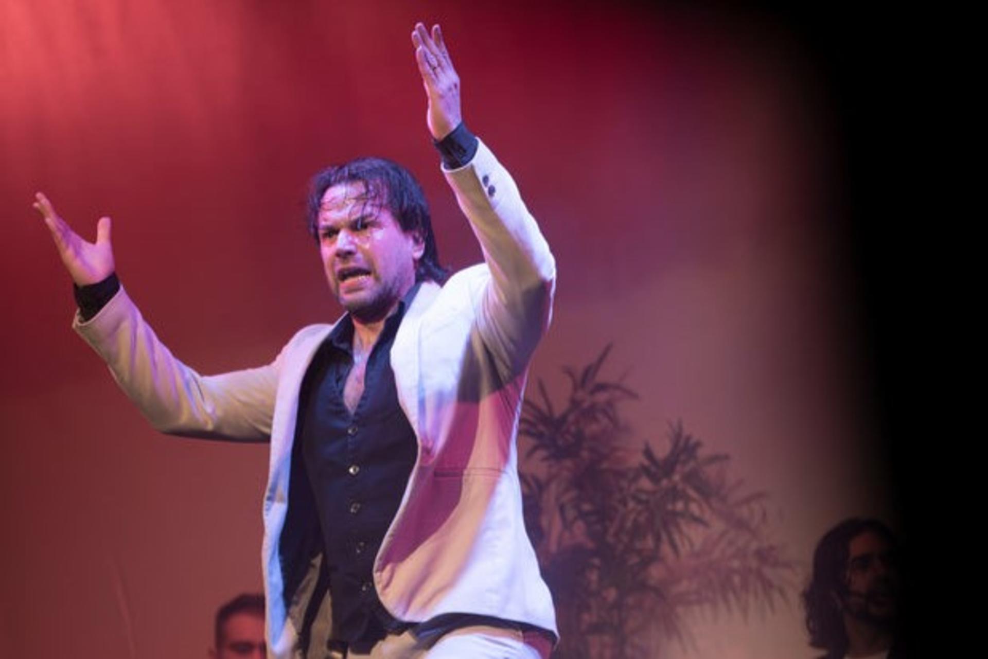 Flamenco Show Ticket at City Hall Theatre in Barcelona - Thumbnail 6