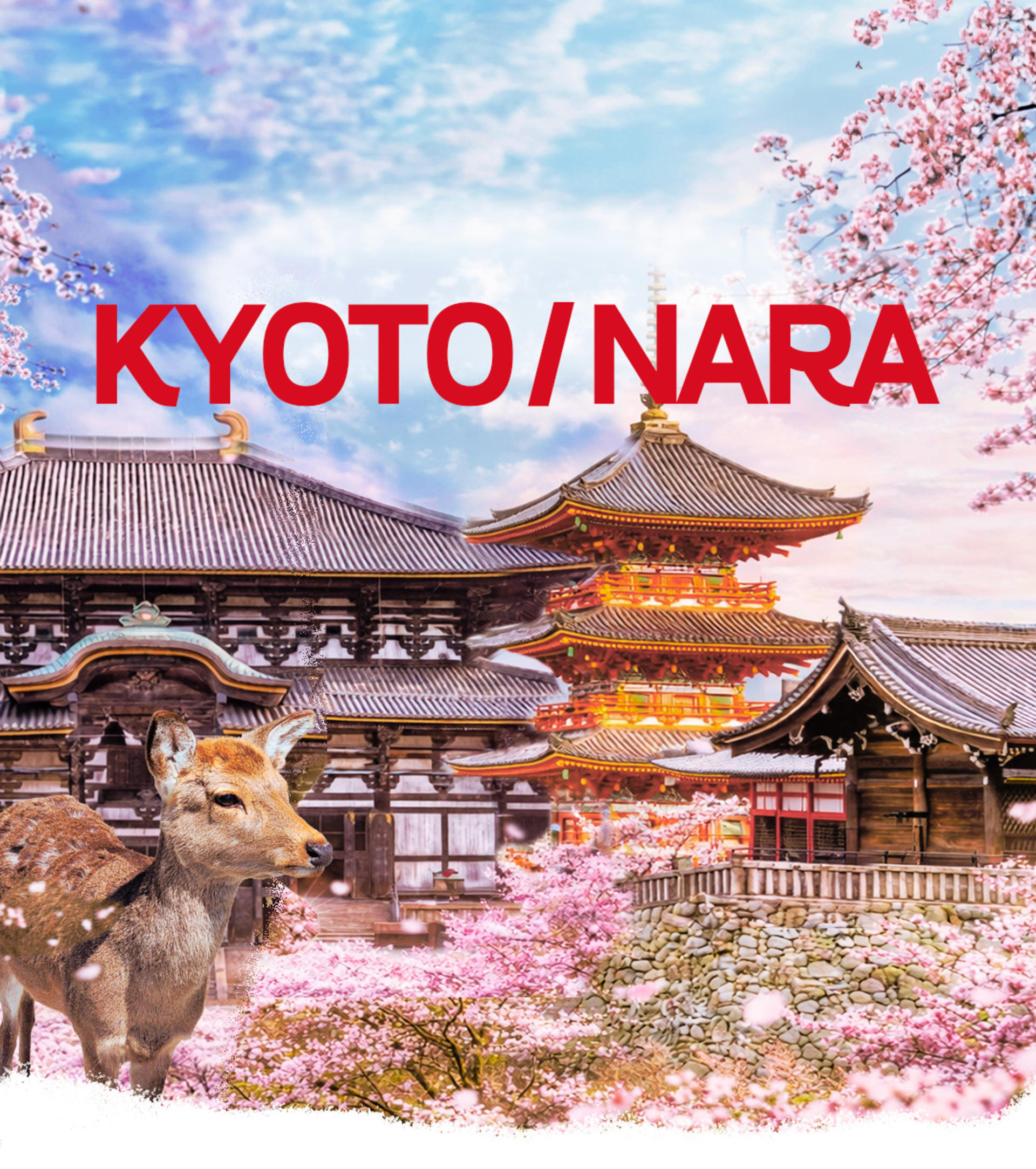 Best of Kyoto & Nara: Kiyomizudera, Nara Park, Todaiji & Much More - Thumbnail 2