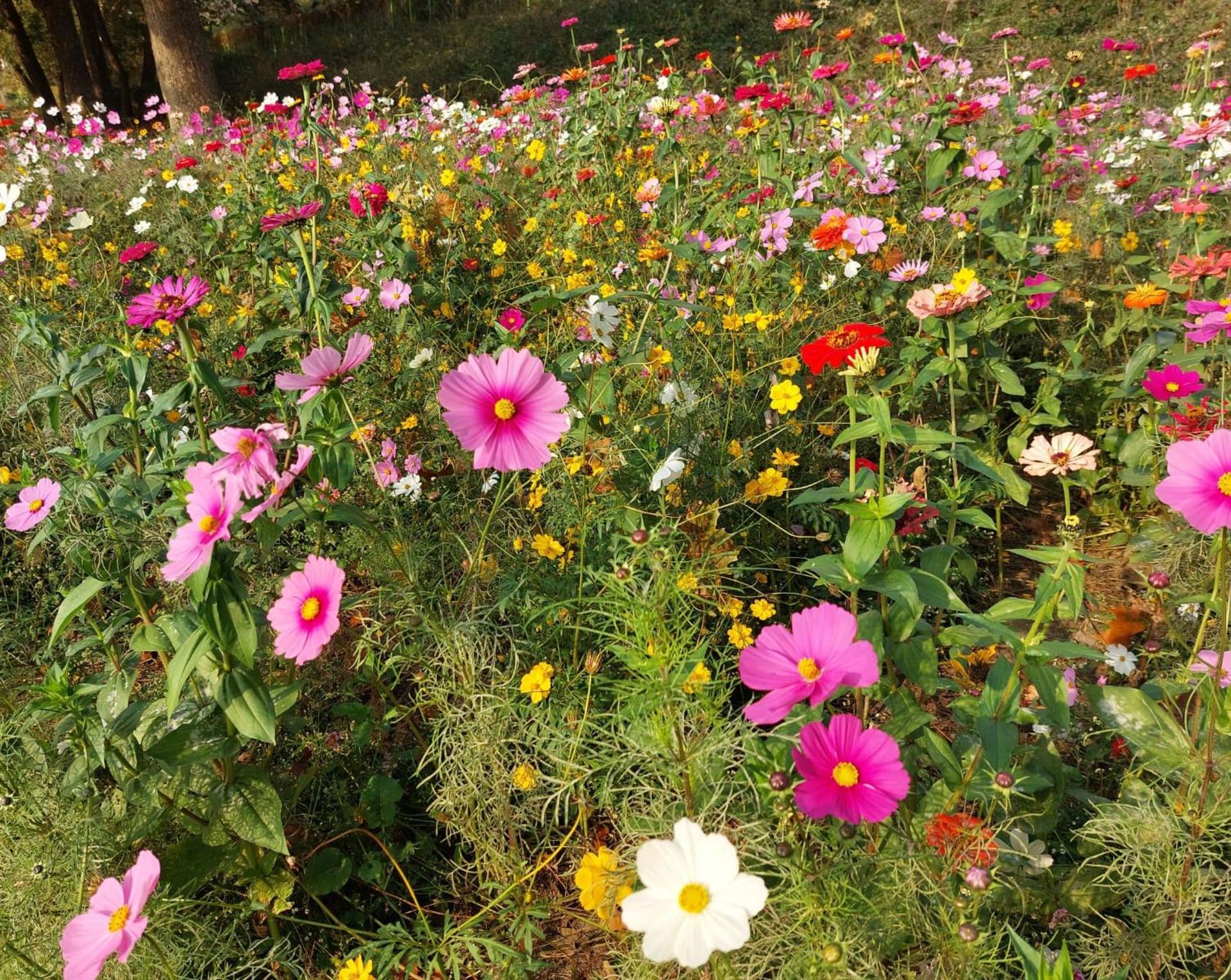 Slow Seoul: Riverside Walking & Mindful Tarot Reading - Thumbnail 3