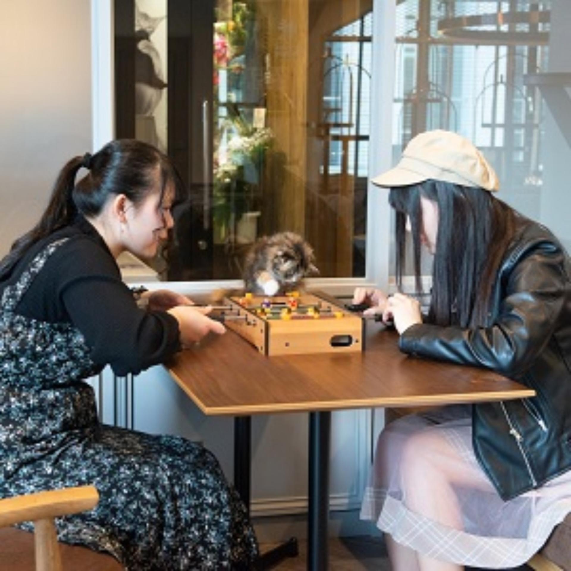 Cat Cafe MOCHA Lounge Shibuya Koen-dori in Tokyo - Image 1