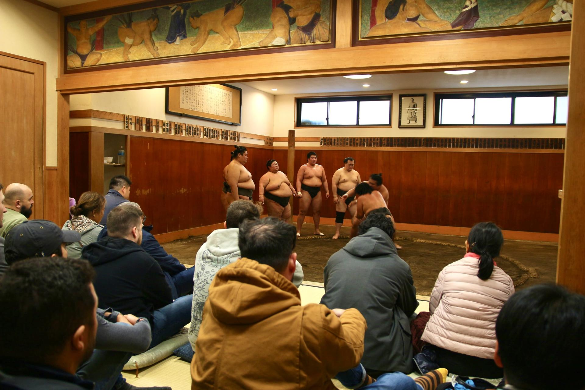 Tokyo Sumo Morning Practice: Viewing & Exclusive Interaction - Thumbnail 5