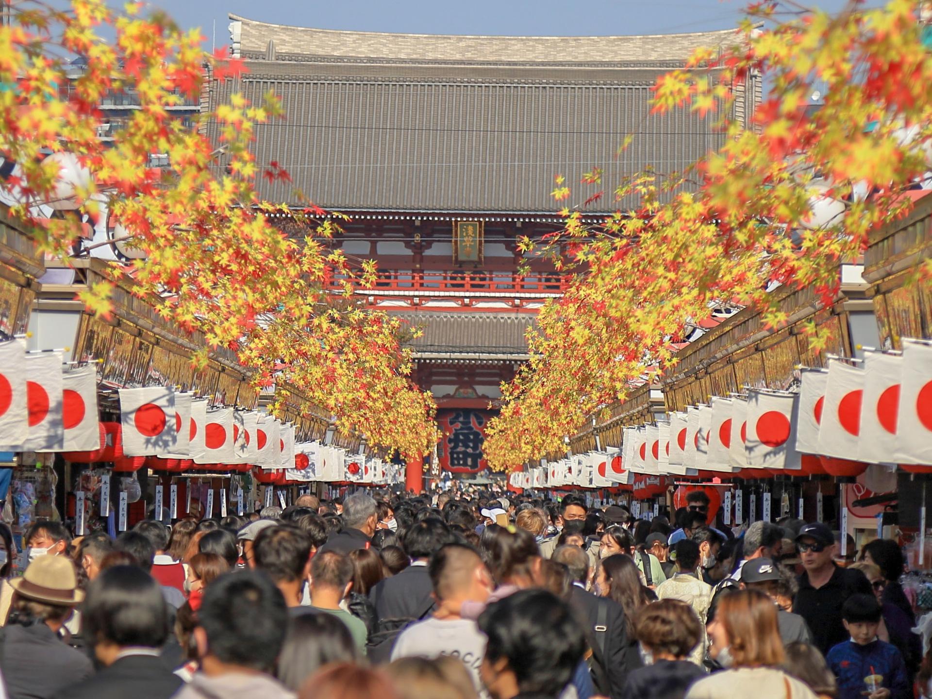 Tokyo Amazing Sightseeing Bus Day Tour by Professional guide - Thumbnail 12
