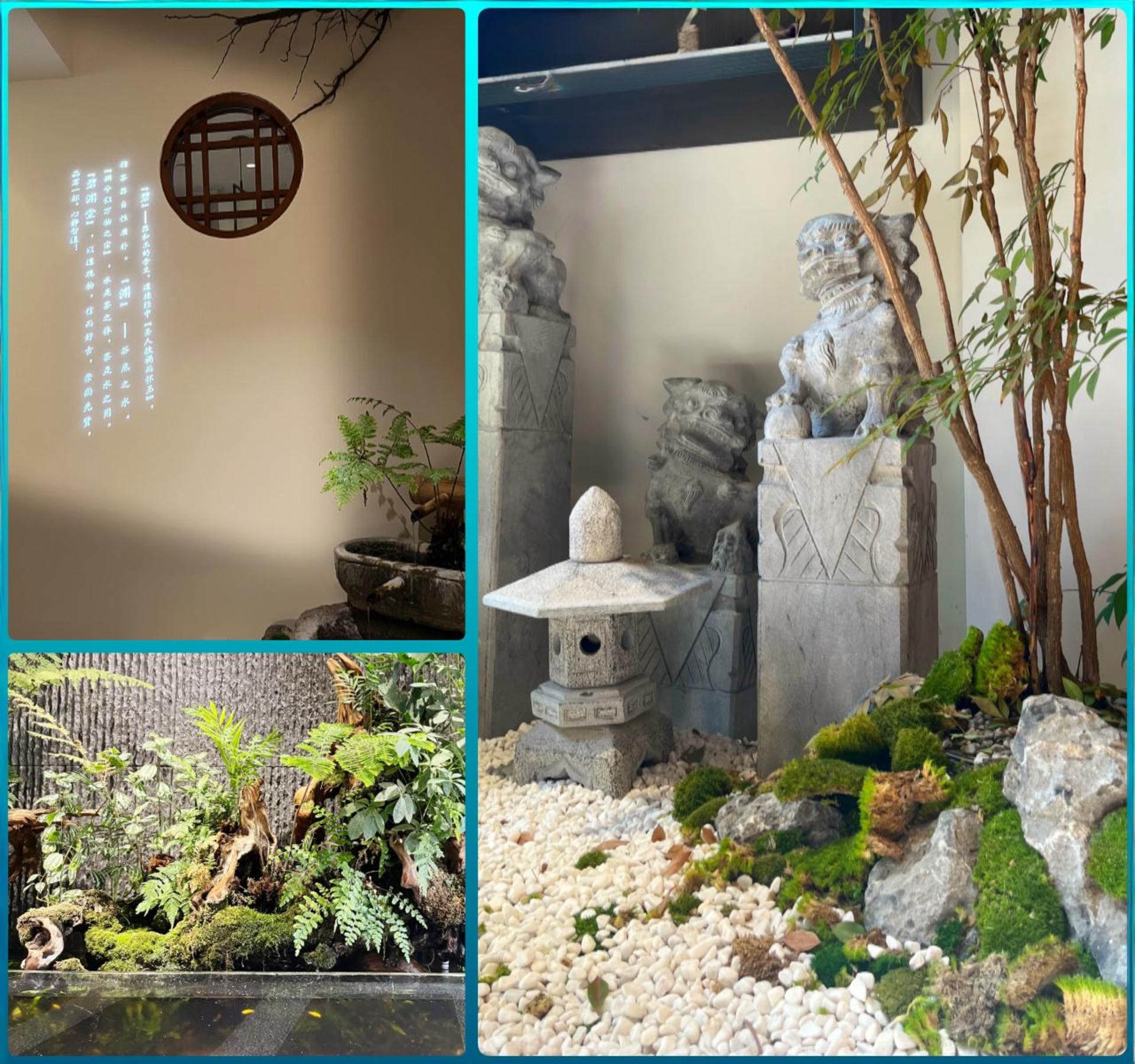 The Art & Science of Chinese Tea: A Premium Hands-On Experience - Thumbnail 13