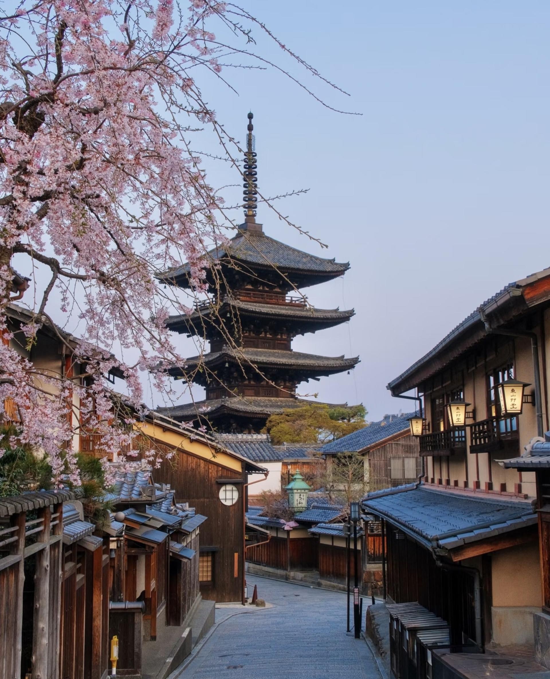 Kyoto one-day private tour (1~4 people) - Image 1