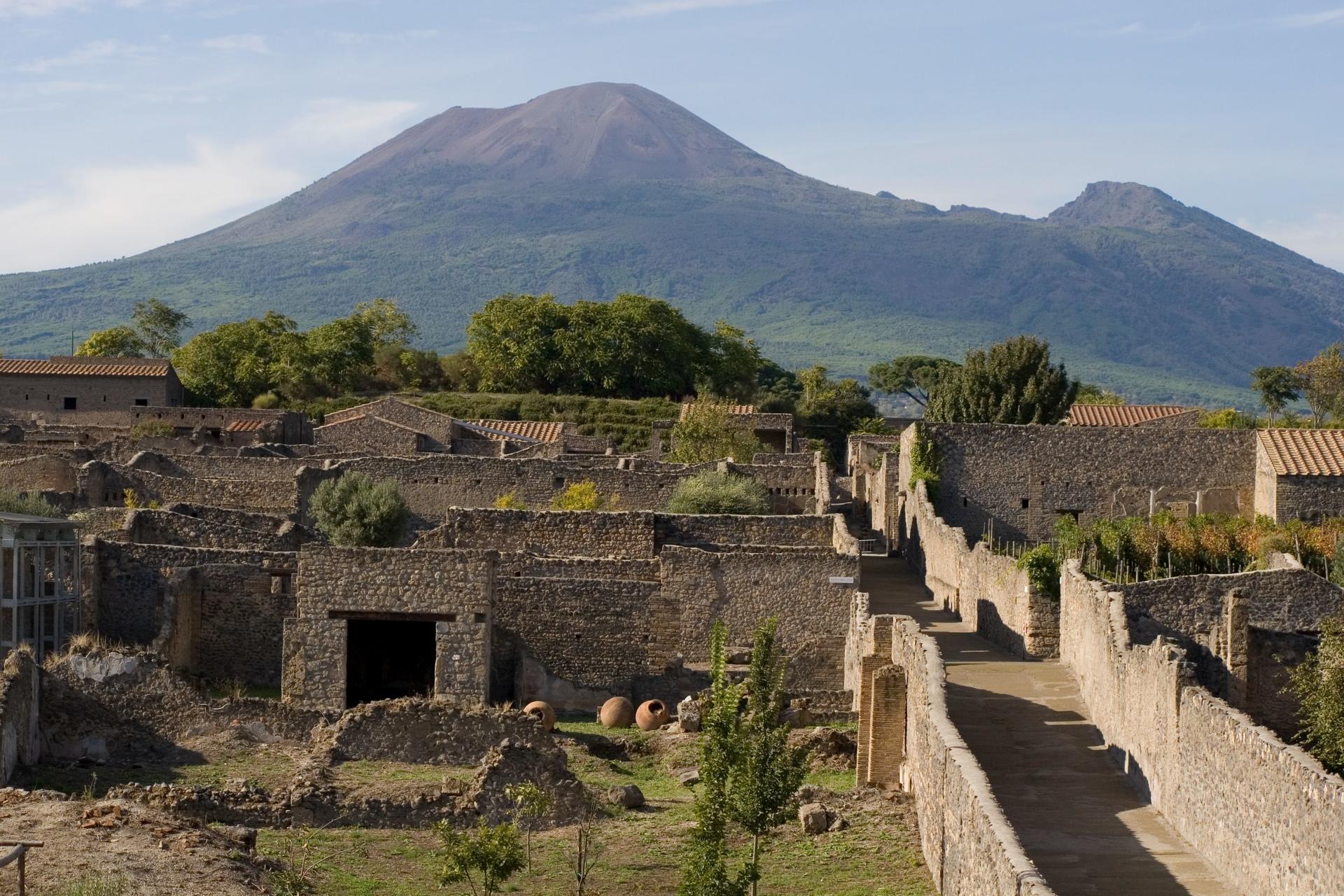 Pompeii and Mount Vesuvius Tour from Naples - Thumbnail 5