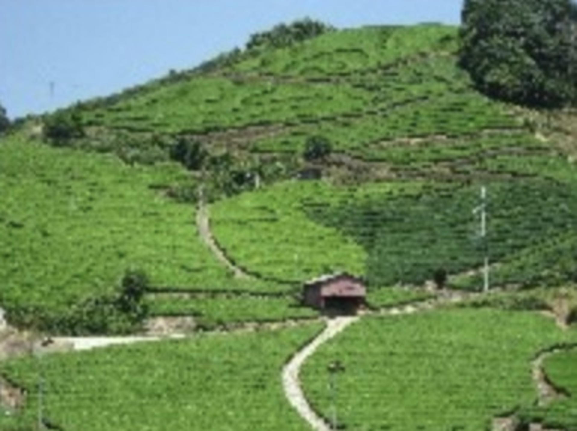 Uji Tea Heritage Area Pass (Kyoto Keihan Bus One-Day Pass - All Routes) - Image 1