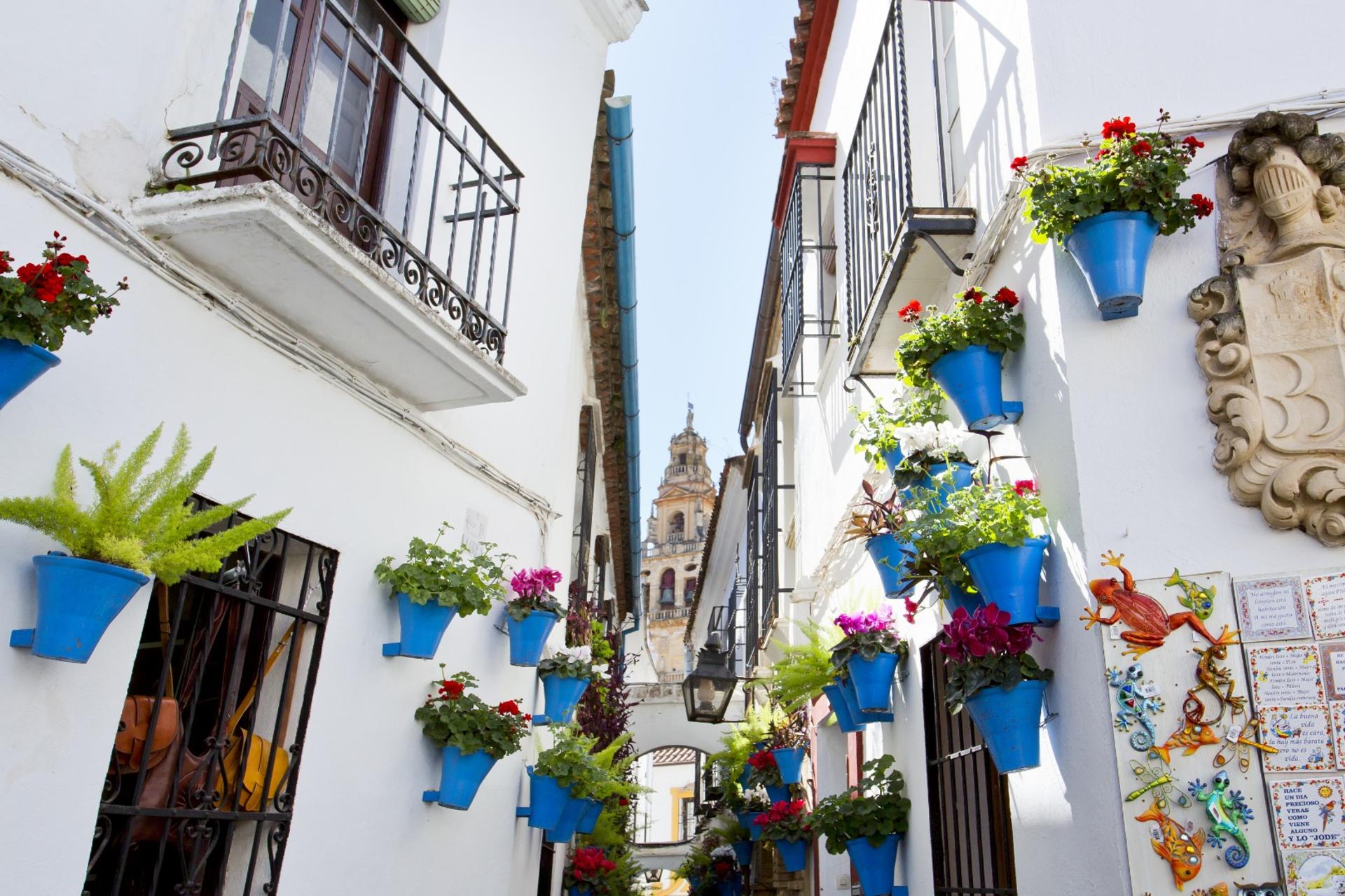 Cordoba Mosque-Cathedral and Jewish Quarter Guided Walking Tour - Thumbnail 2