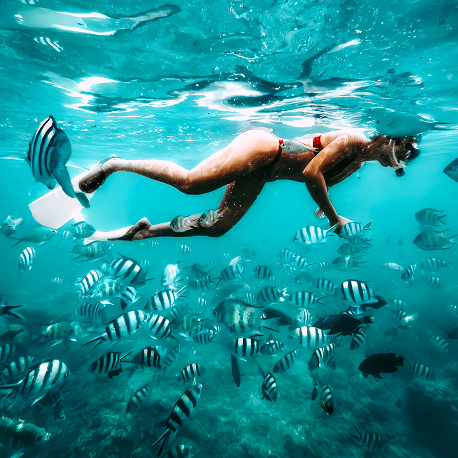 Sharing Snorkeling Day Tour to 3 Gilis from Gili Trawangan - Thumbnail 3