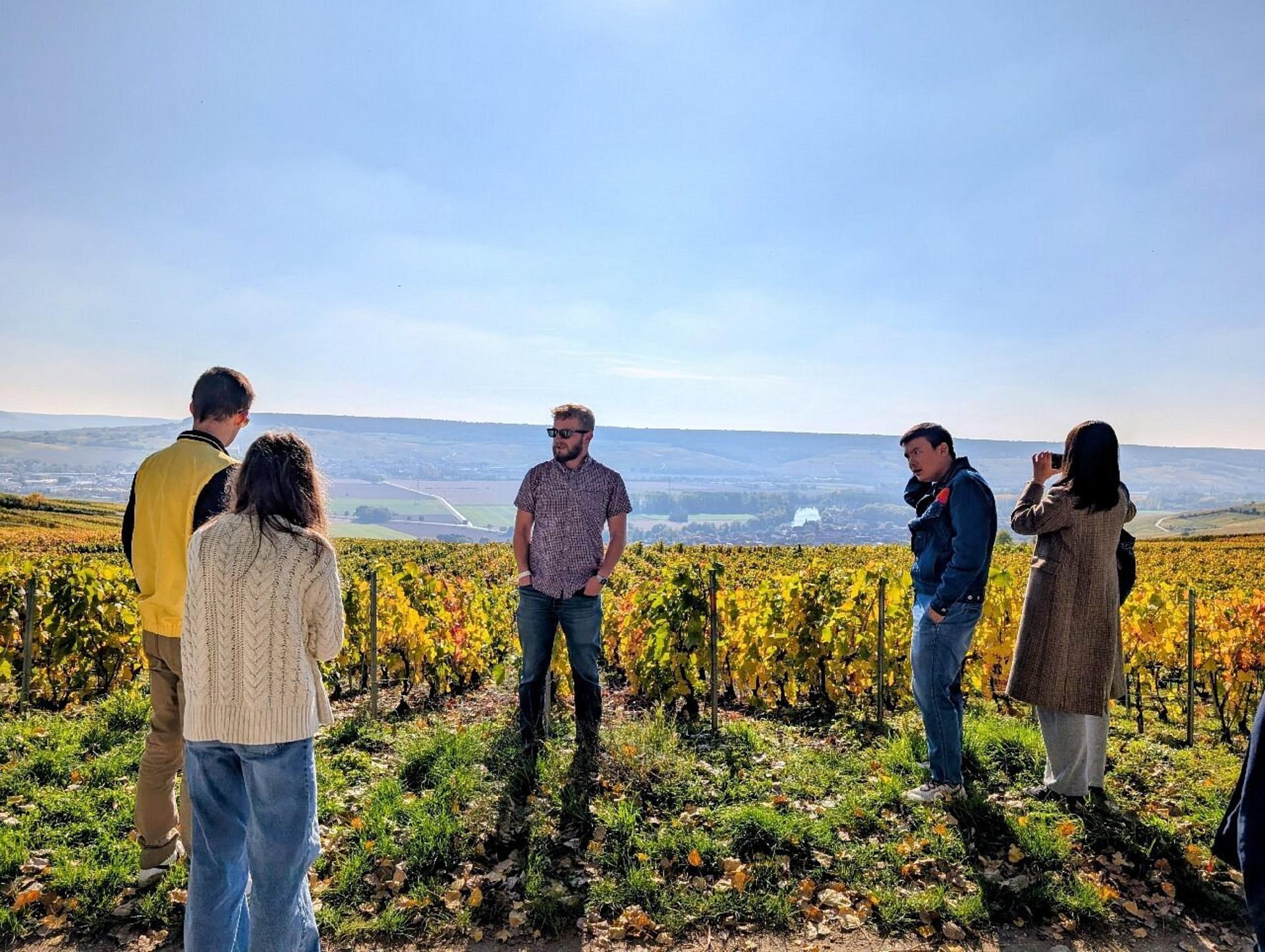 Epernay and Family Growers Afternoon Tour from Reims - Thumbnail 5